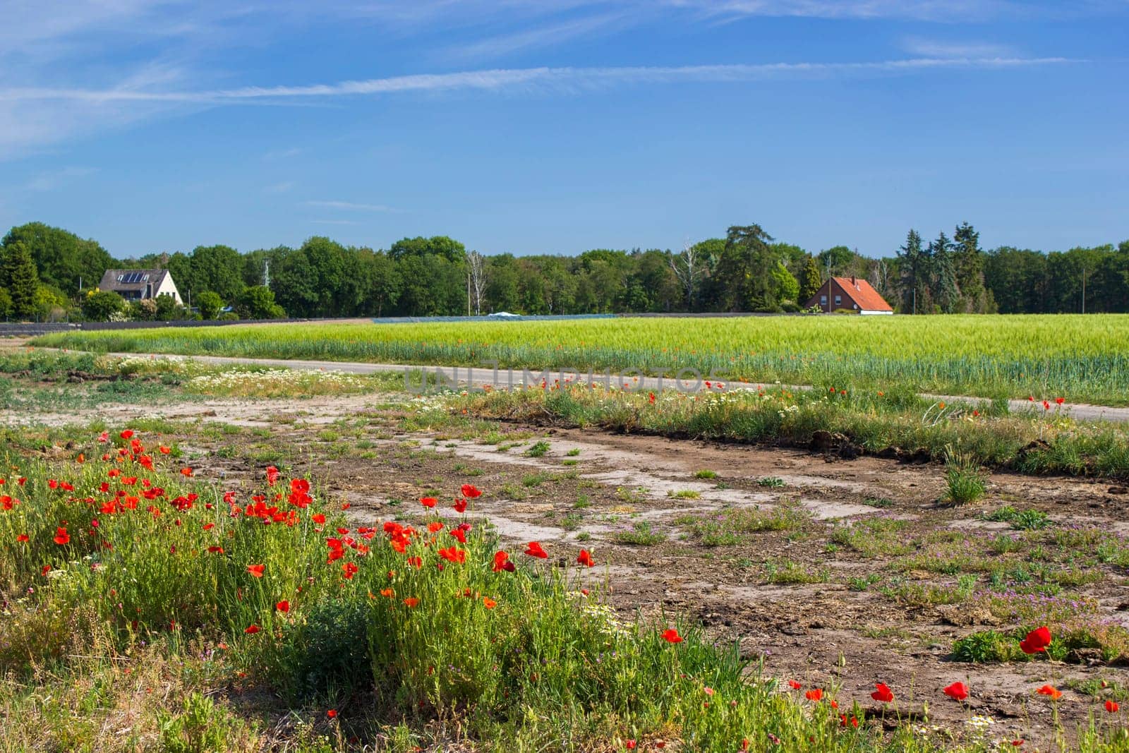 German countryside landscape, Lower Rhine Region