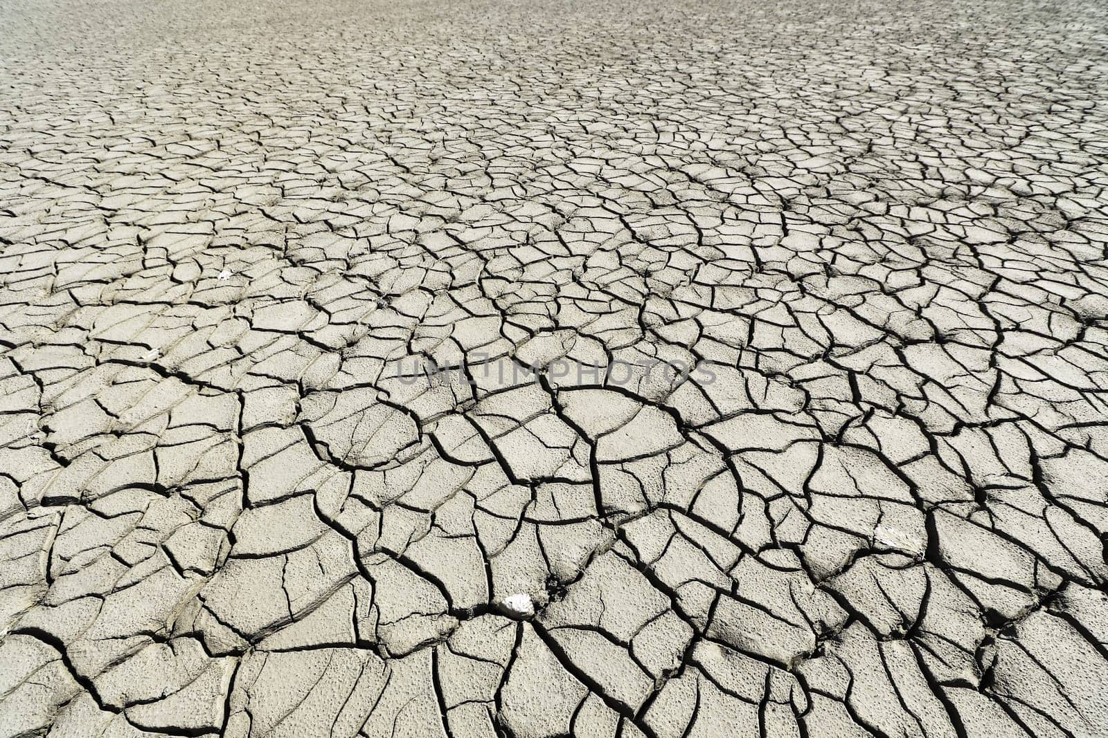 A dried up cracked bottom on a lake