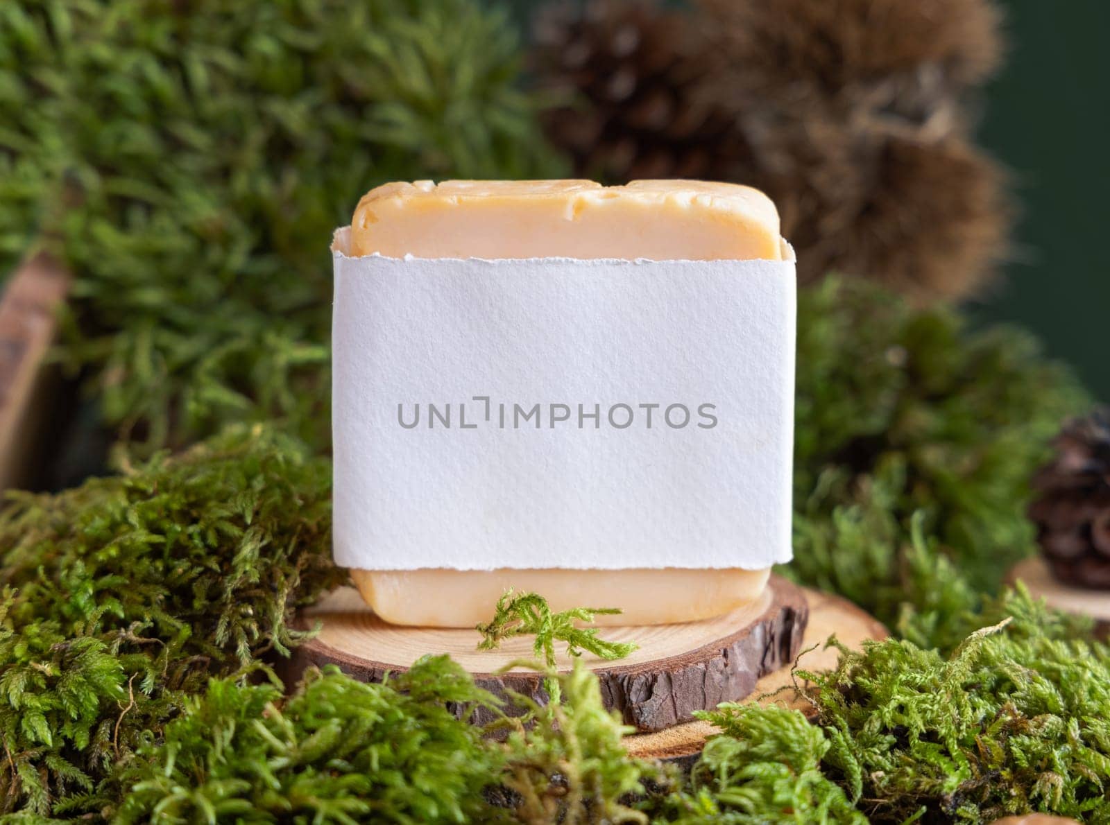 Homemade Soap bar with blank label on wooden piece near green moss, close up copy space. Natural cosmetic mockup. Everyday Skincare beauty routine with Facial Cleanser
