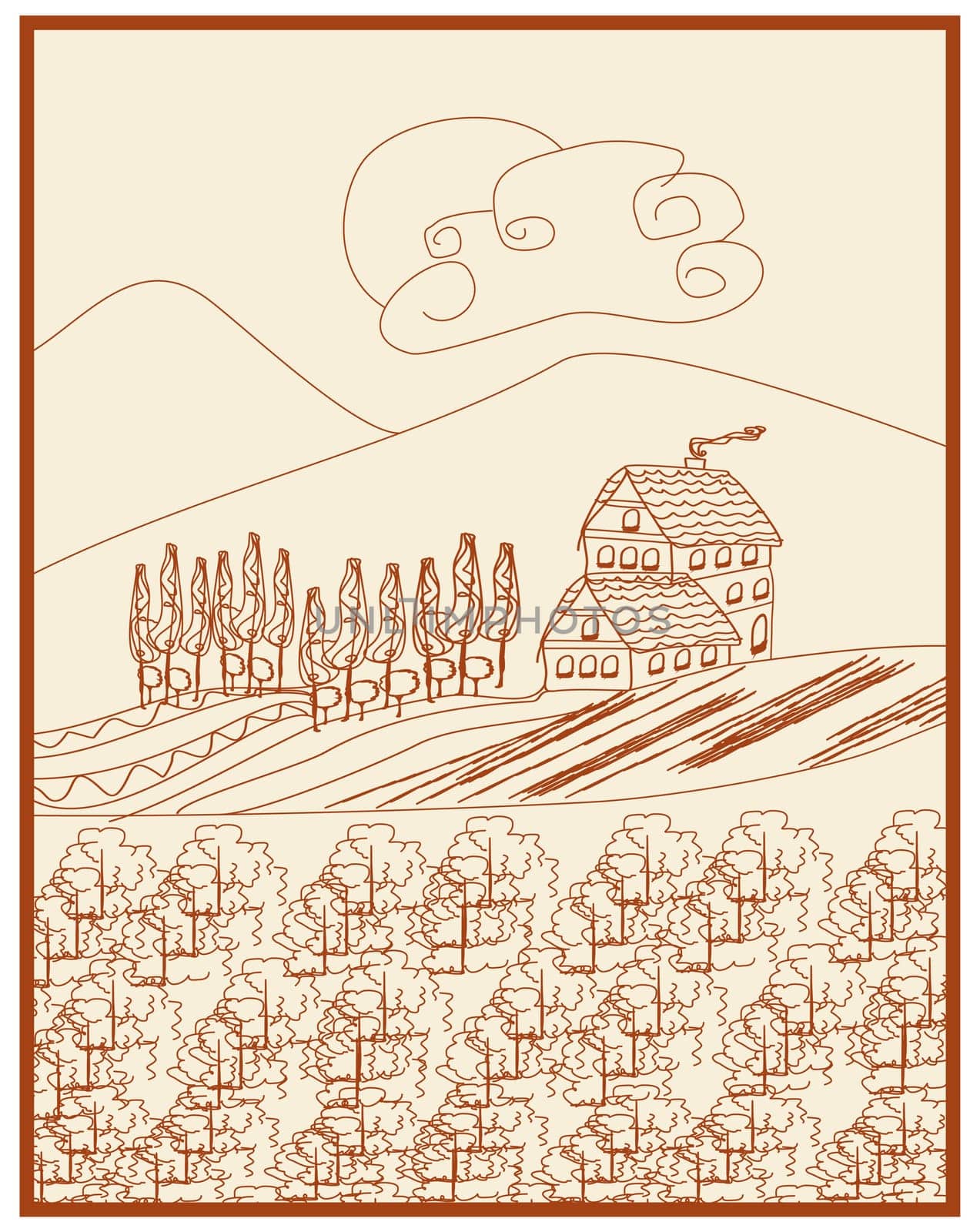 Vector illustration of vineyard
