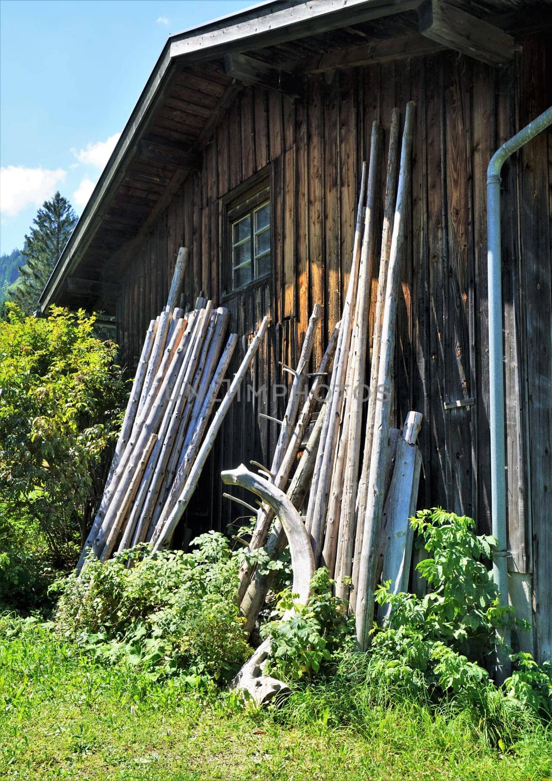 Wooden shed on a meadow under a blue sky