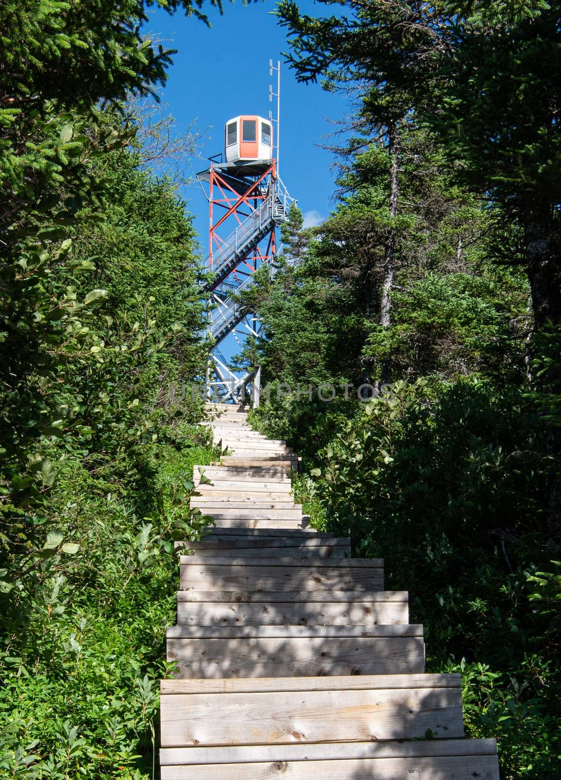 Fire look-out Tower in Terra Nova Canada