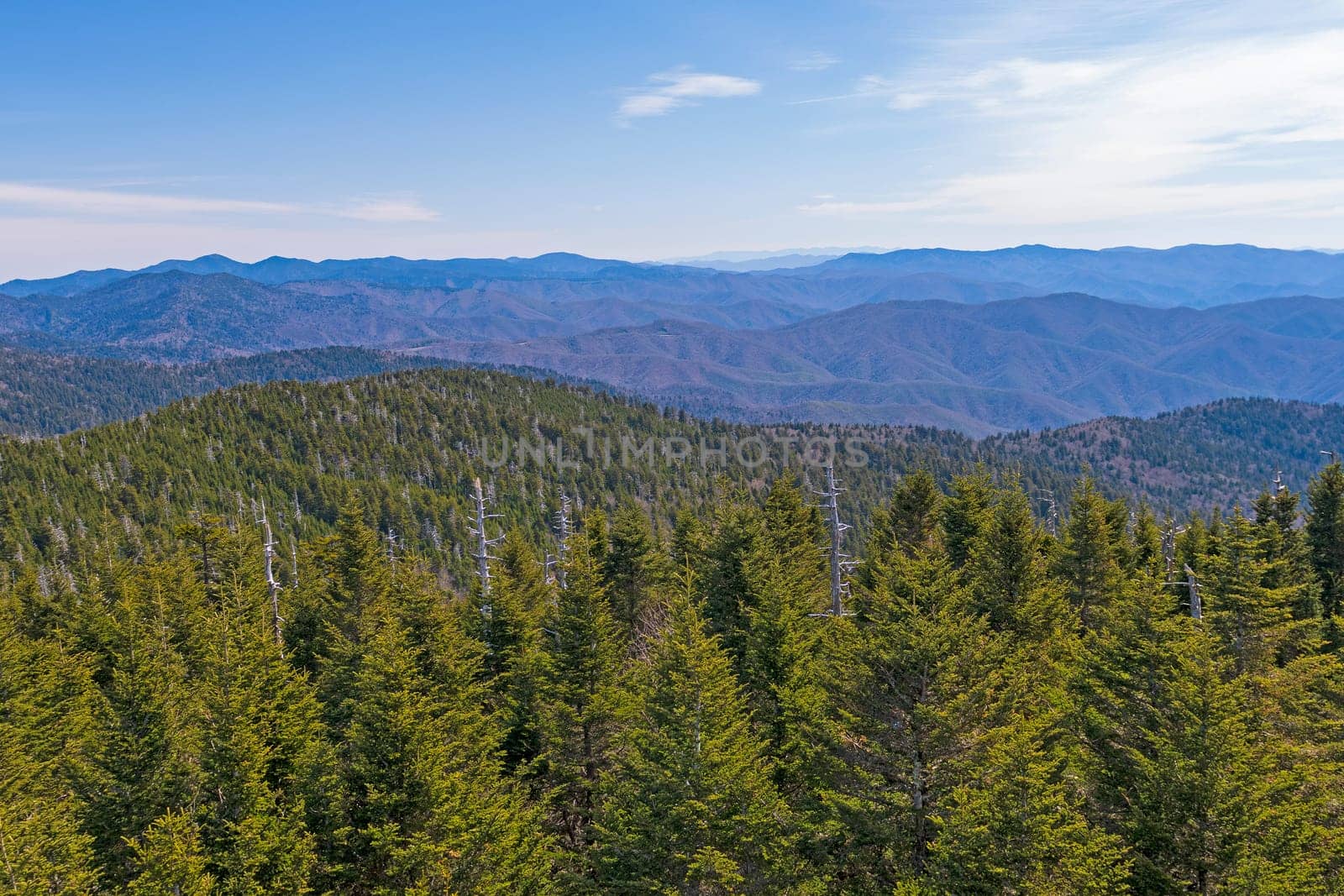 Smoky Mountains Panorama on a Sunny Day at Clingmans Dome in North Carolina