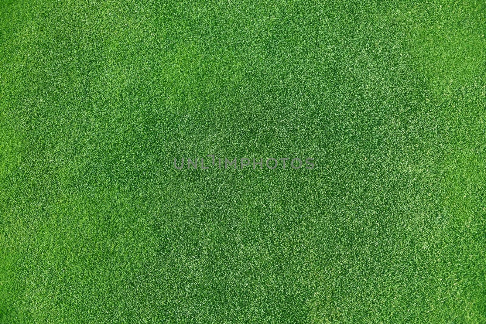 A green English lawn in a football stadium as a background.