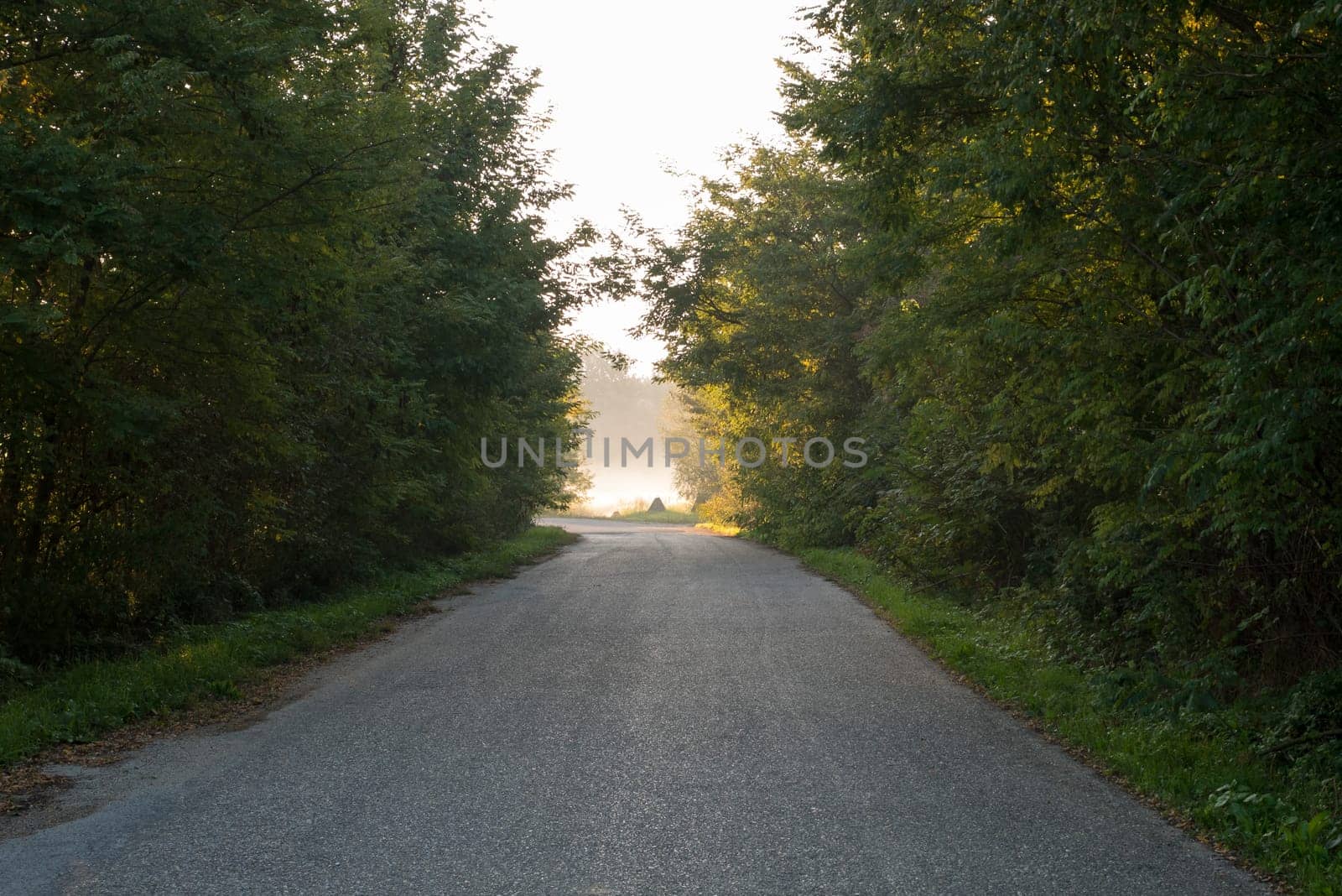 The road, which at the bend is illuminated by sunlight. It represented inspiration, God's apparitions, enlightenment