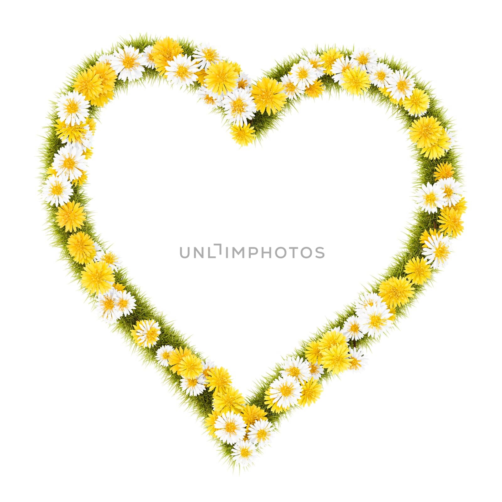 Flower Grass Heart Shape Frame Isolated on White Background 3D Illustration, Love Concept