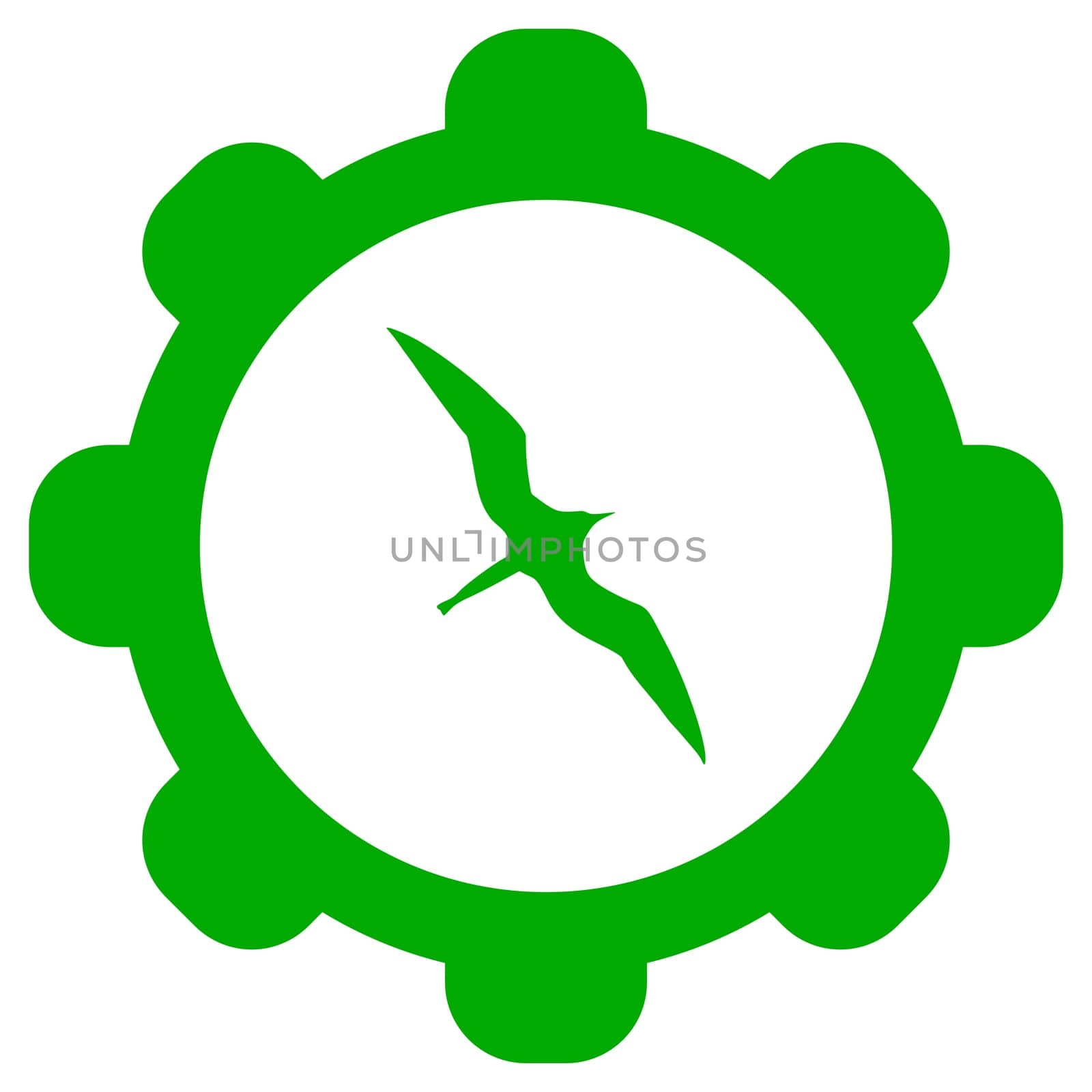 Frigate bird and wheel