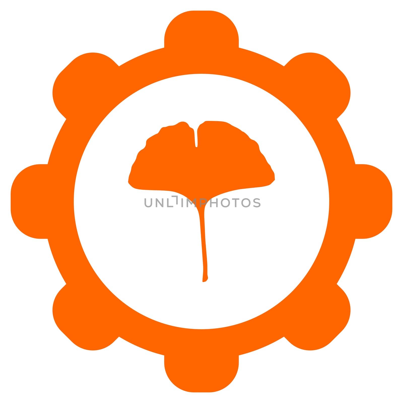 Ginkgo leaf and wheel