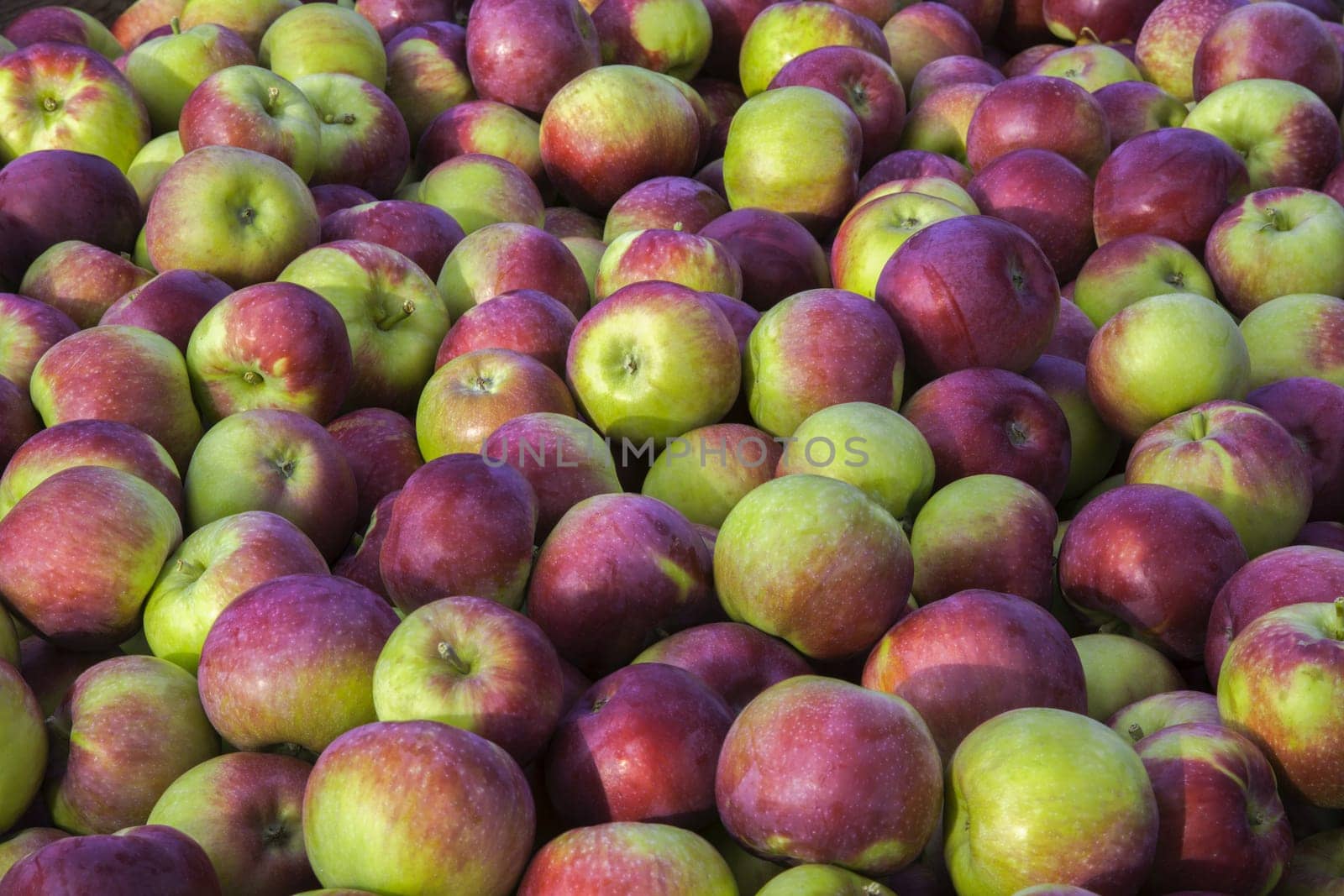 apple background organic fruits fresh vegetarian food healthy nutrition