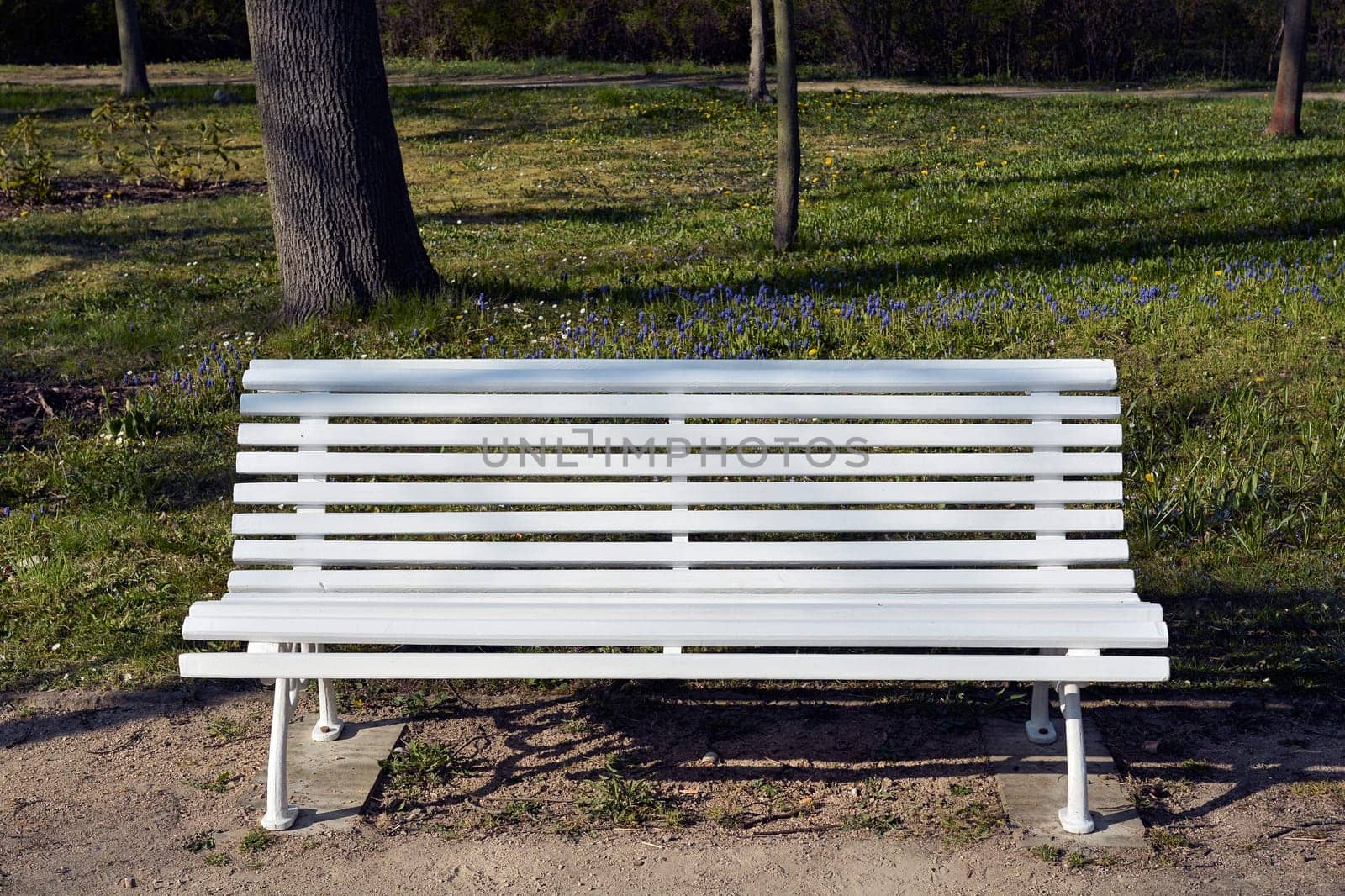 Bank in the spa park of Bad Salzelmen