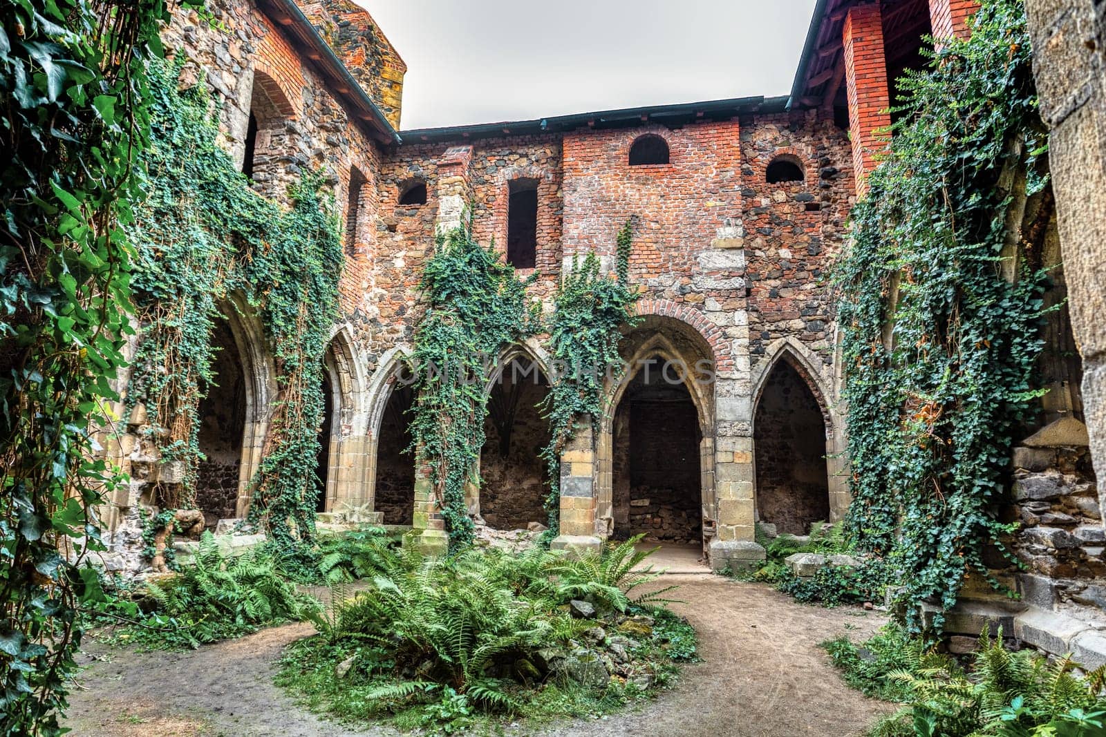 The Rosa Coeli monastery. Ancient catholic ruin of monastery near Dolni Kounice city. Religion gothic place with spiritual history builded from stone. Medieval and historical heritage. Czech Republic