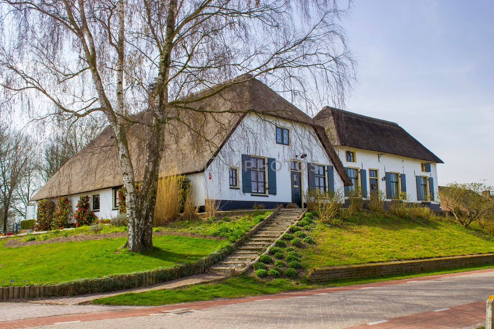 Typical dutch house with straw roof, with green garden. Country house, Gelderland, Netherlands