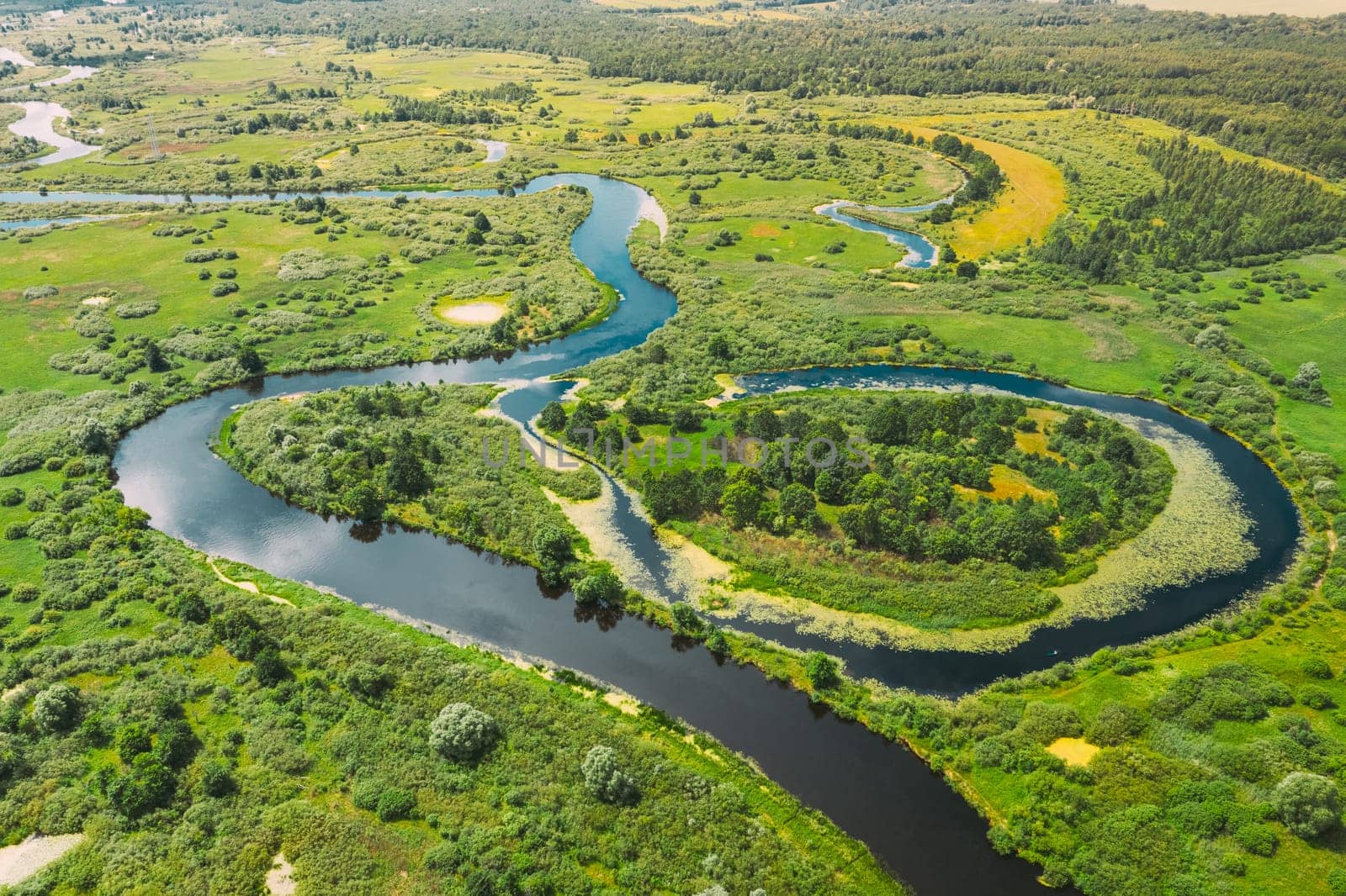 Aerial View Green Forest Woods And River Landscape In Sunny Spring Summer Day. Top View Of Beautiful European Nature From High Attitude In Autumn Season. Drone View. Bird's Eye View.
