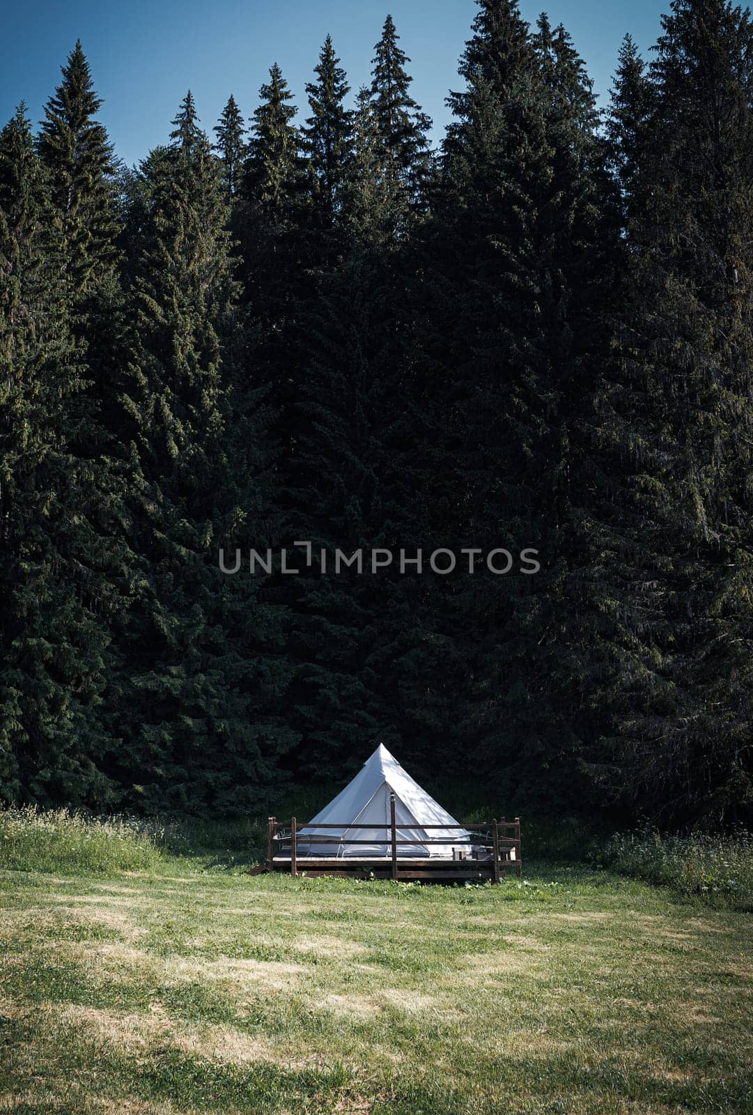 front view of secluded glamping camping tent with white cotton fabric on wooden deck in green meadow surrounded by fir tree forest