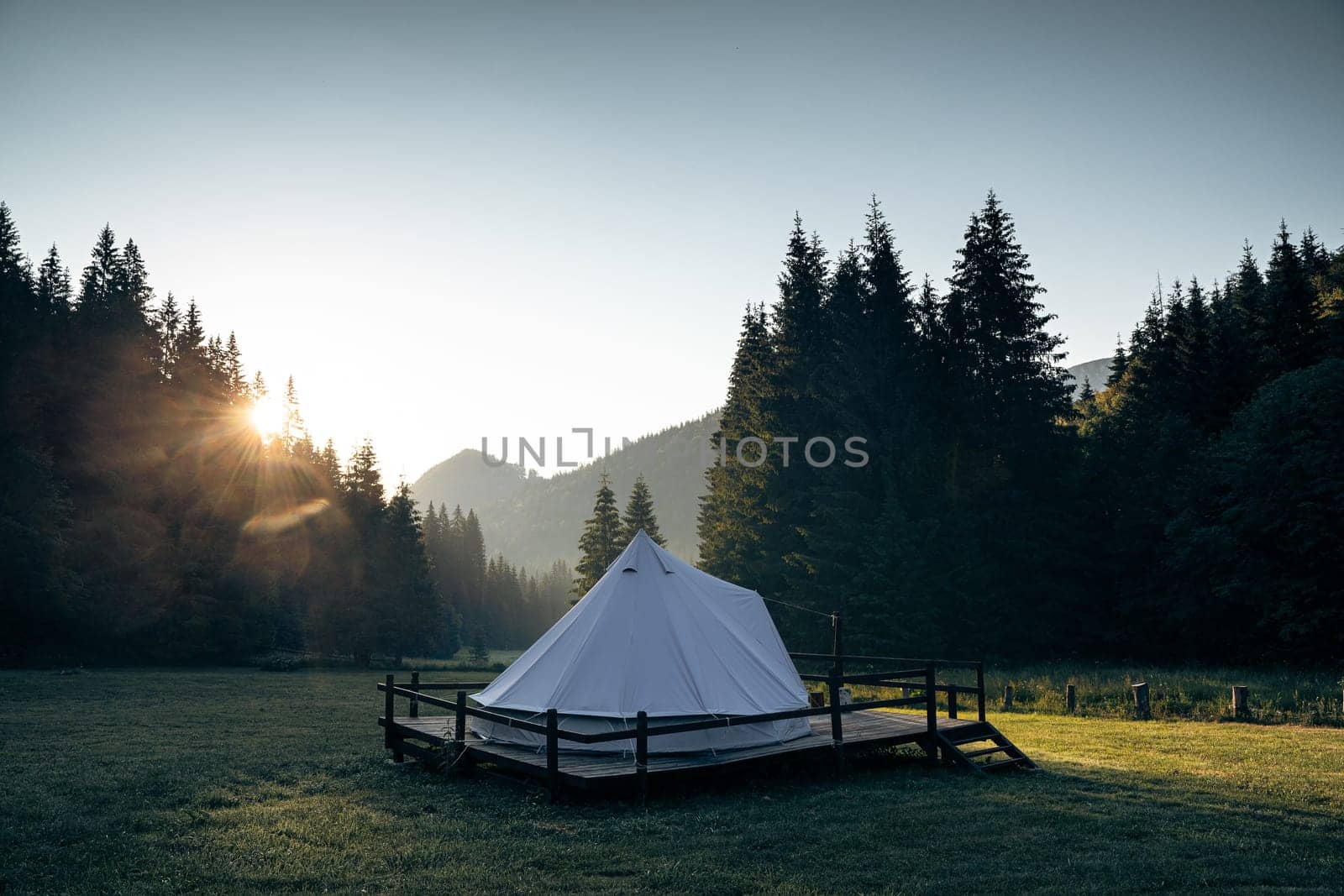 rear view of white glamping tent on wooden deck in green meadow surrounded by fir tree forest at sunrise