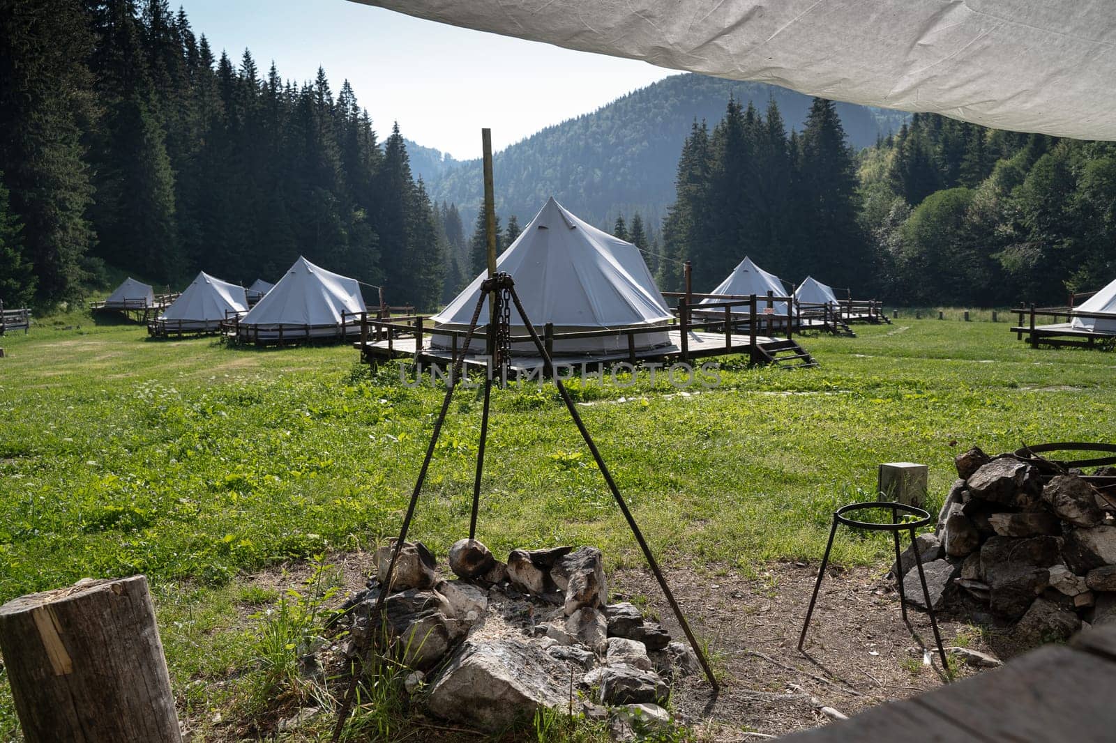 cooking area with fireplace and wooden logs in glamping tent camp site in green meadow surrounded by fir tree forest