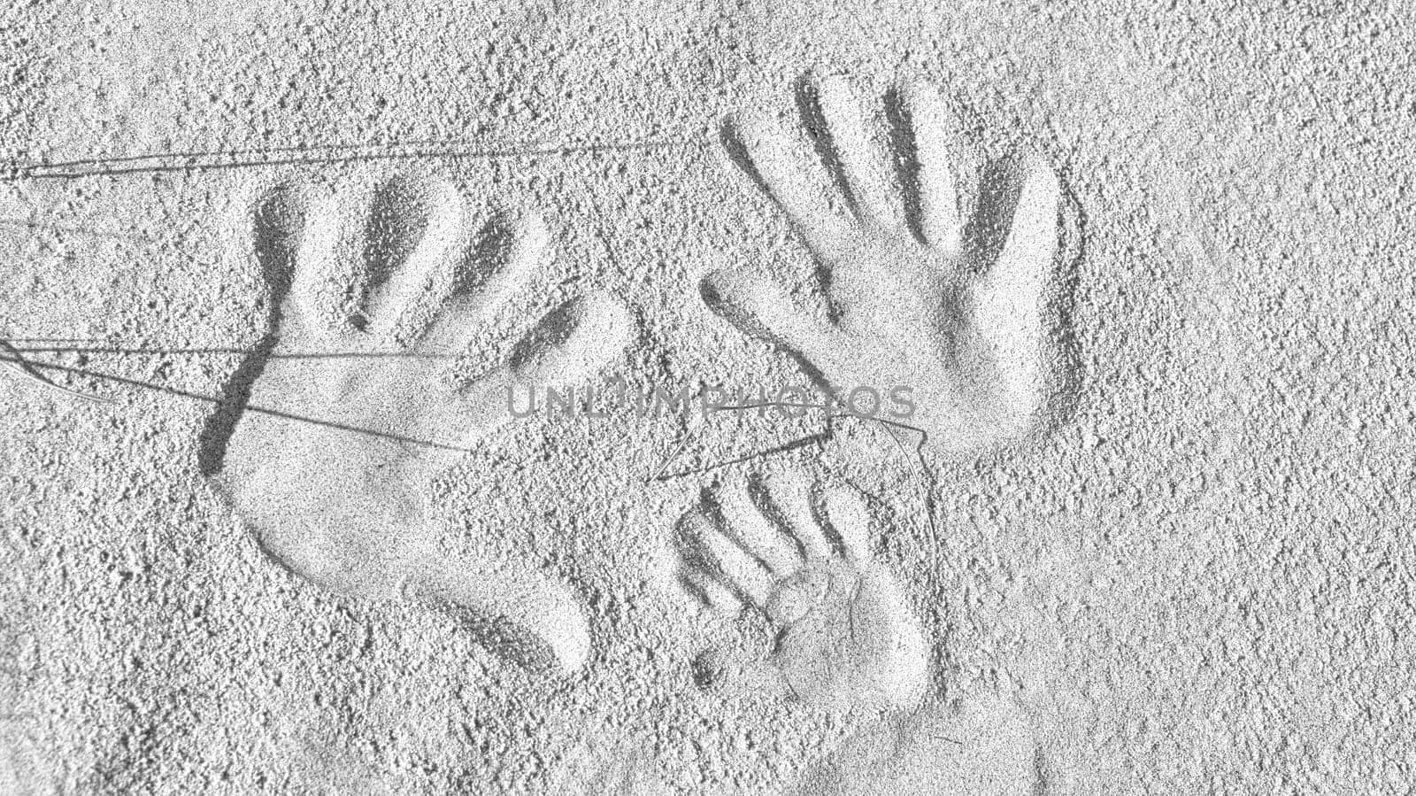 handprints in the sand on the beach of the Baltic Sea in black and white. Connectedness of a family with father, mother and child. Symbol of togetherness for eternity