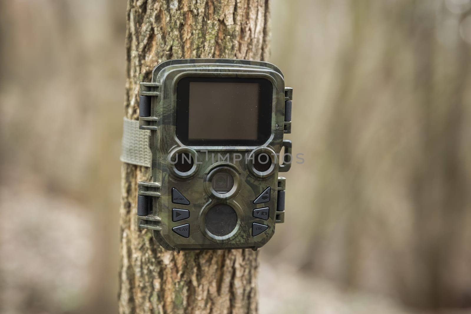 Wildlife monitoring camera trap attached to a tree by a strap in autumn forest. Game camera used for research of animal behavior with infrared illuminated fixed to a trunk in woodland.