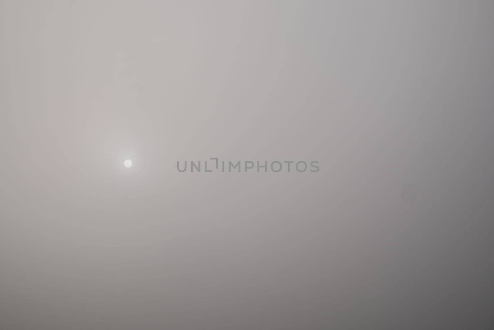 .Siluette of a tree in a foggy background.