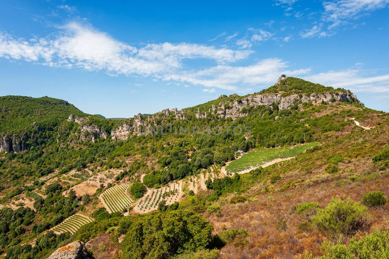 Mountain landscape with the cultivation of vineyards for the production of wine, Sardinia, Italy. Traditional agriculture. Vertical video.