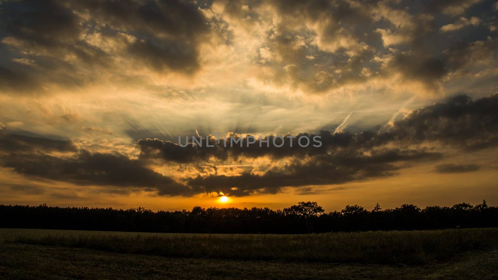 dramatic sunset at the edge of a forest in front of a field. taken near Berlin