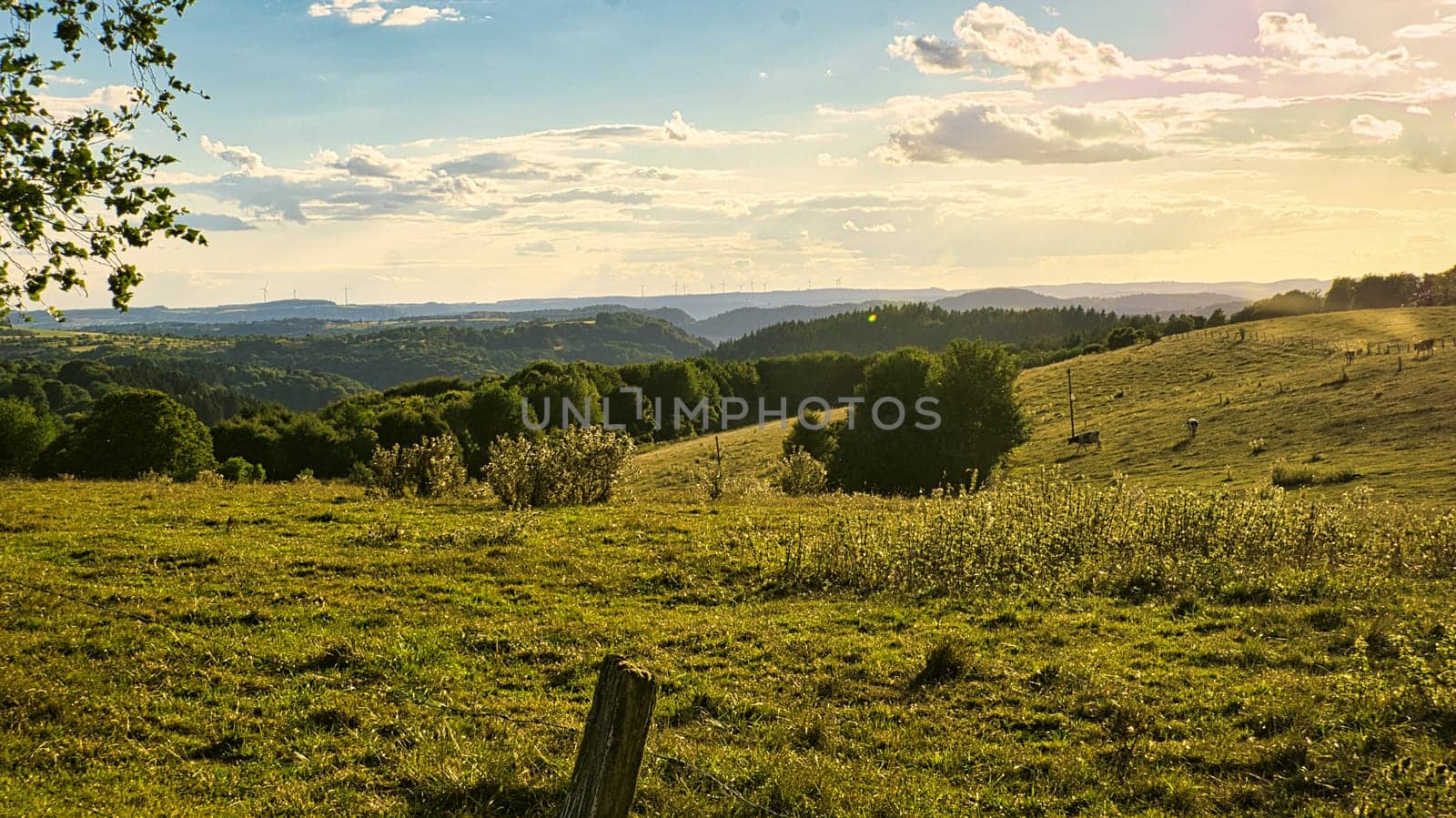 A sunny day in Saarland with a view over meadows into the valley. Some sunny clouds in the sky and cows grazing. A moment to linger, rest and enjoy