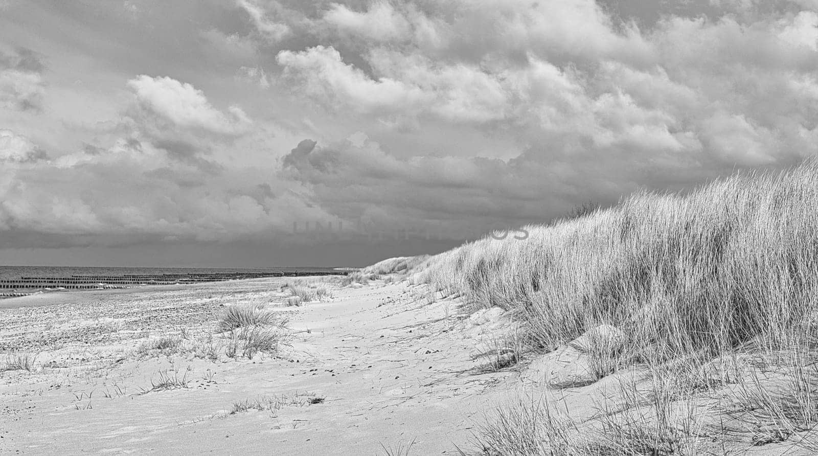 on the baltic sea beach with clouds, dunes, beach and that in black and white. recreation on vacation