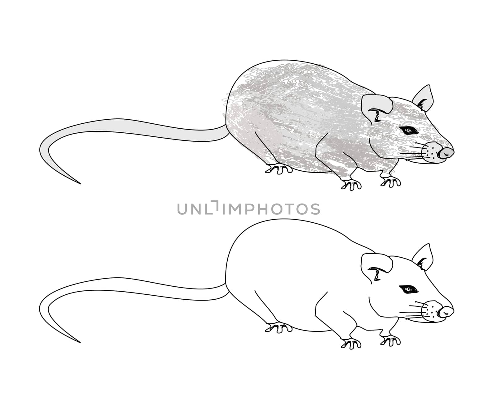 cartoon rat doodle