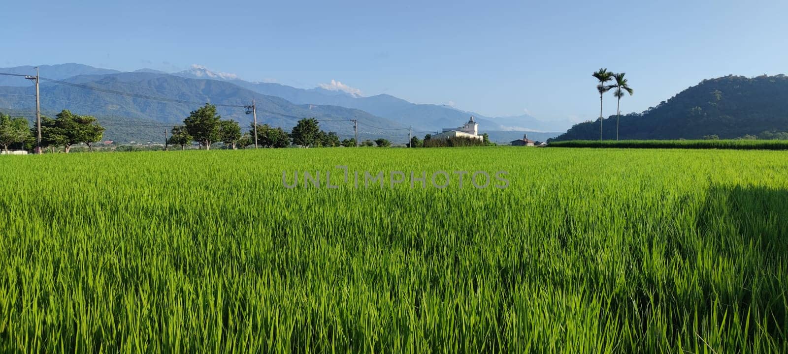 No. 193 Road, Huadong Lungu- Aug 29, 2022 : View of the mountains at Luye highland, Taitung