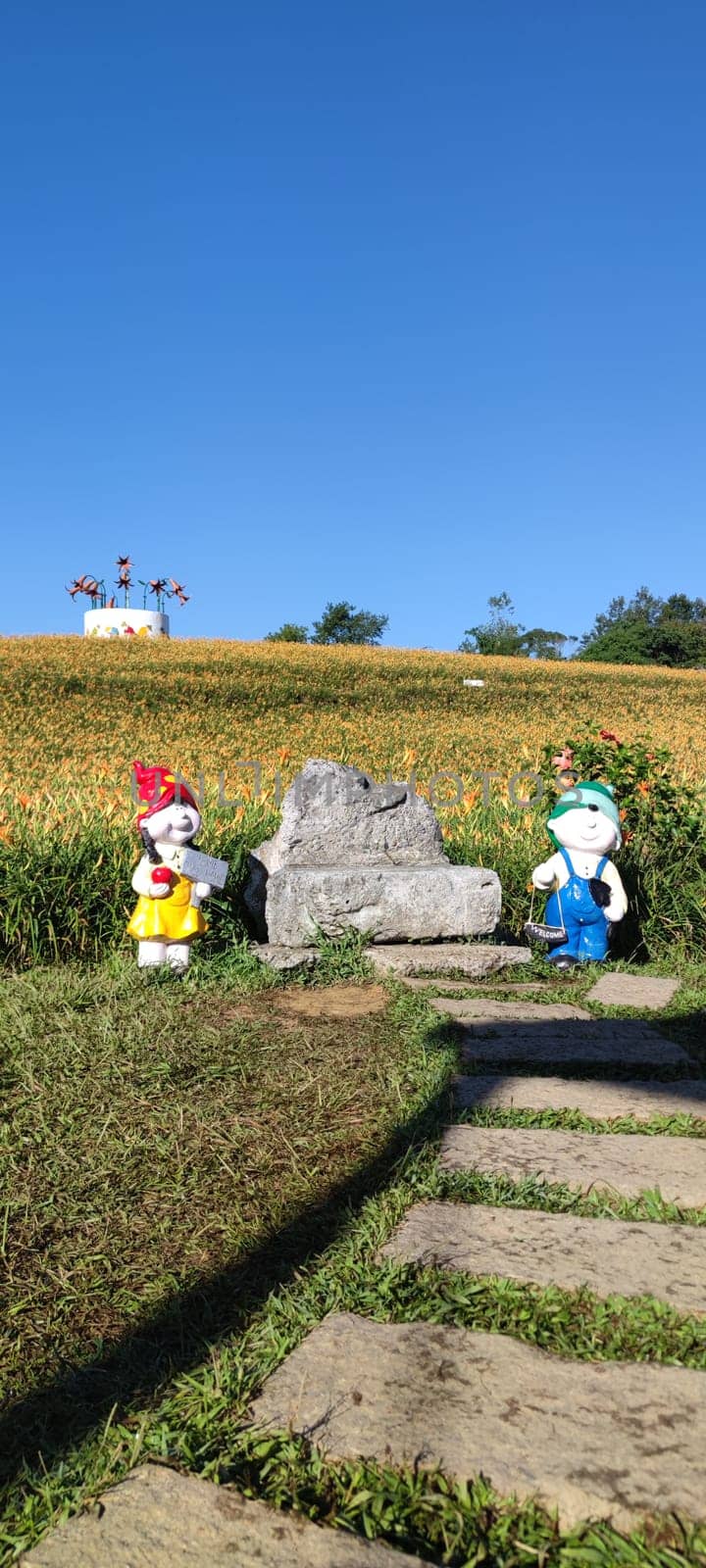 Chike Mountain, Hualien - Aug 29, 2022 : The beautiful daylily flower mountain of eastern Taiwan