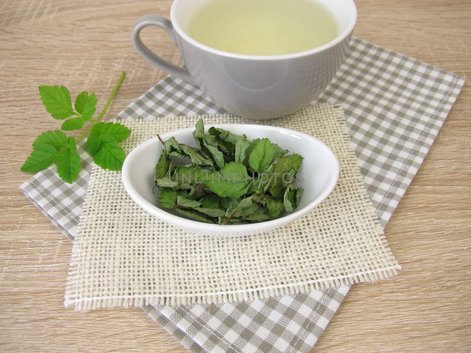 A cup of herbal tea with dried goutweed
