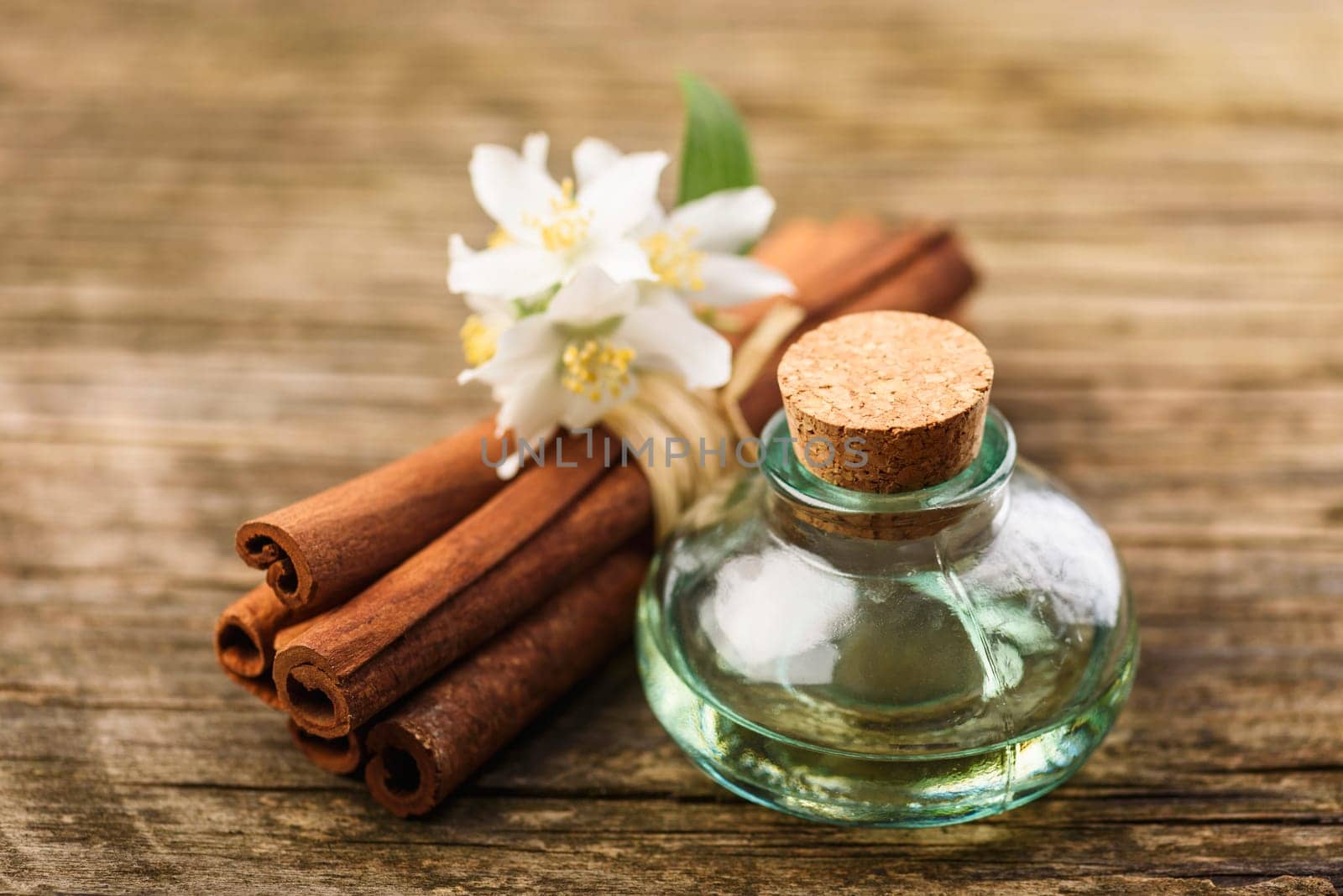 Essential massage oil with jasmine flower and cinnamon aroma on rustic wooden background. Natural spa and wellness aromatherapy treatment still life.