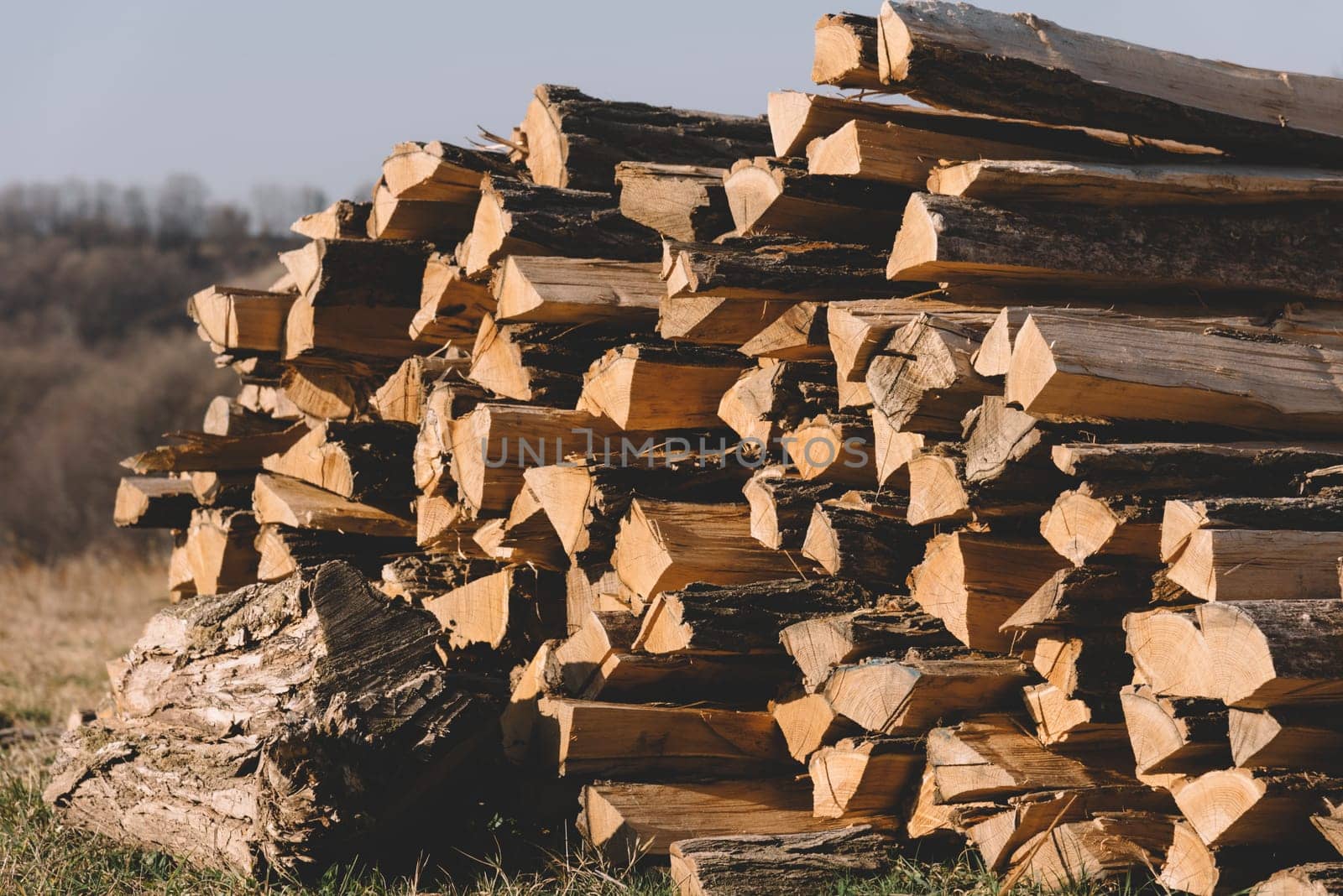 Closeup of logs of pile in the mountain forest. Logs of fireplace wood prepared for use.