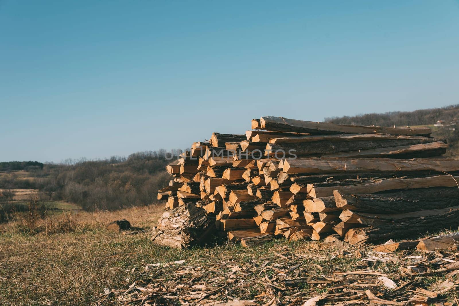 Stack of wooden logs