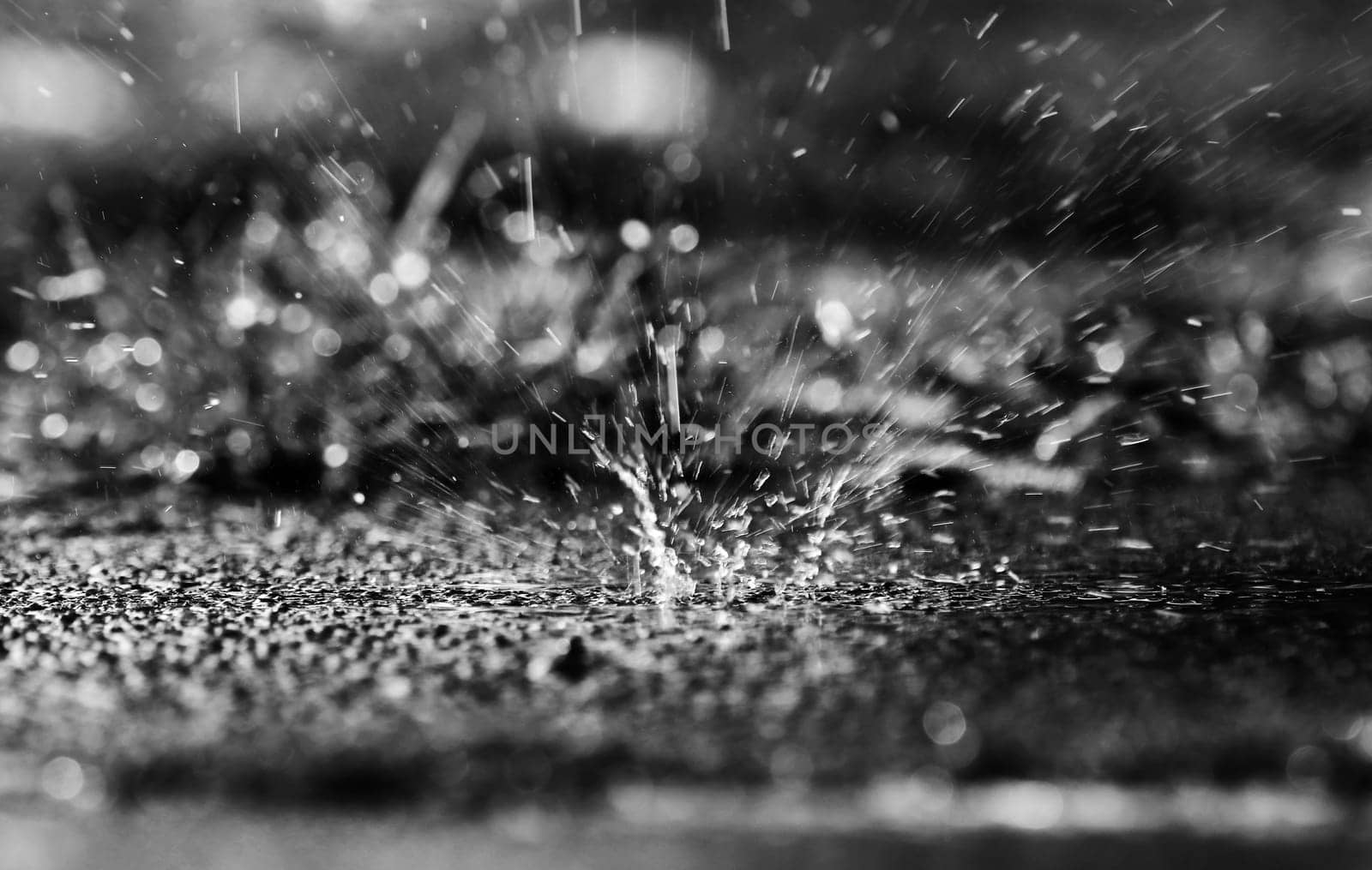 In heavy rain, large drops fall splashing on the ground in black an whtie