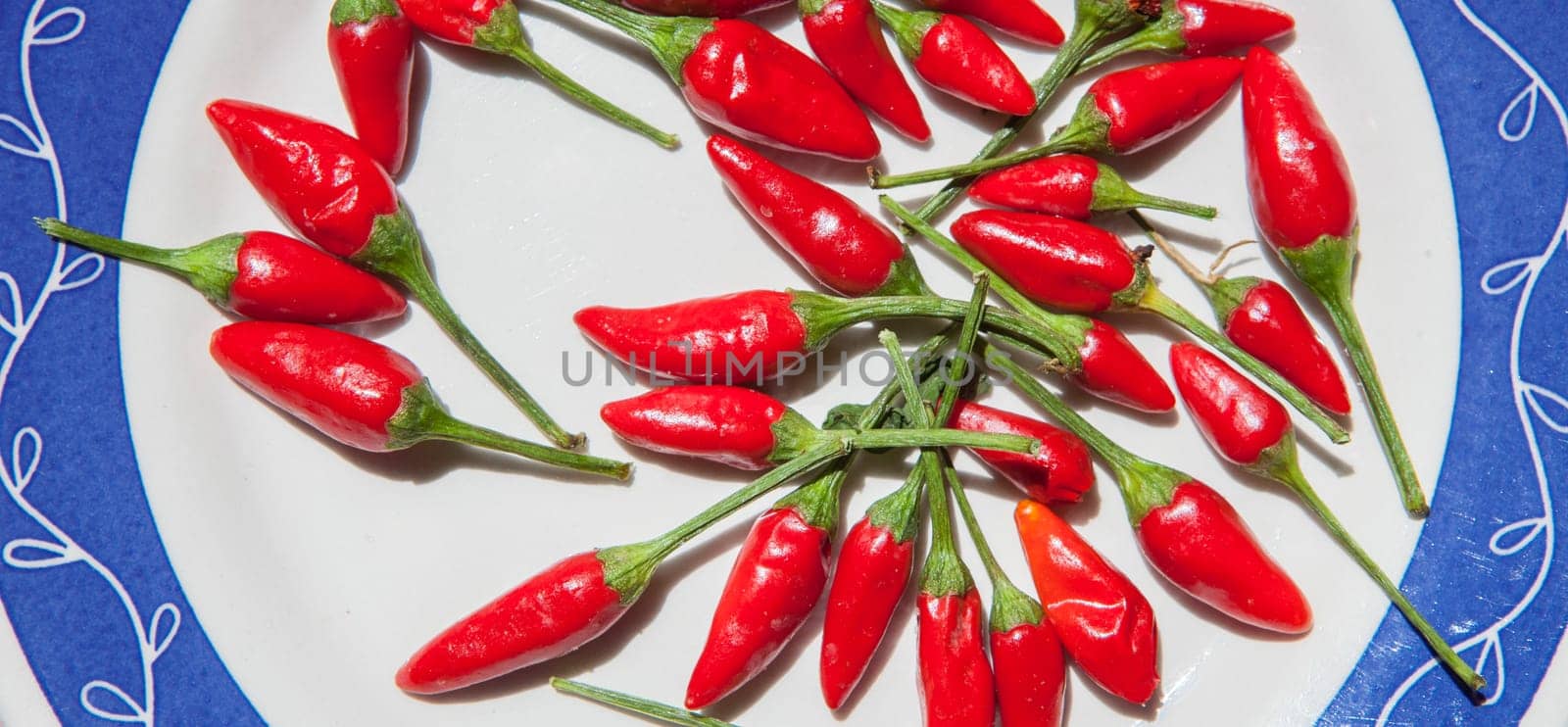 Plate with piri-piri chili pepper. Studio shot with natural light