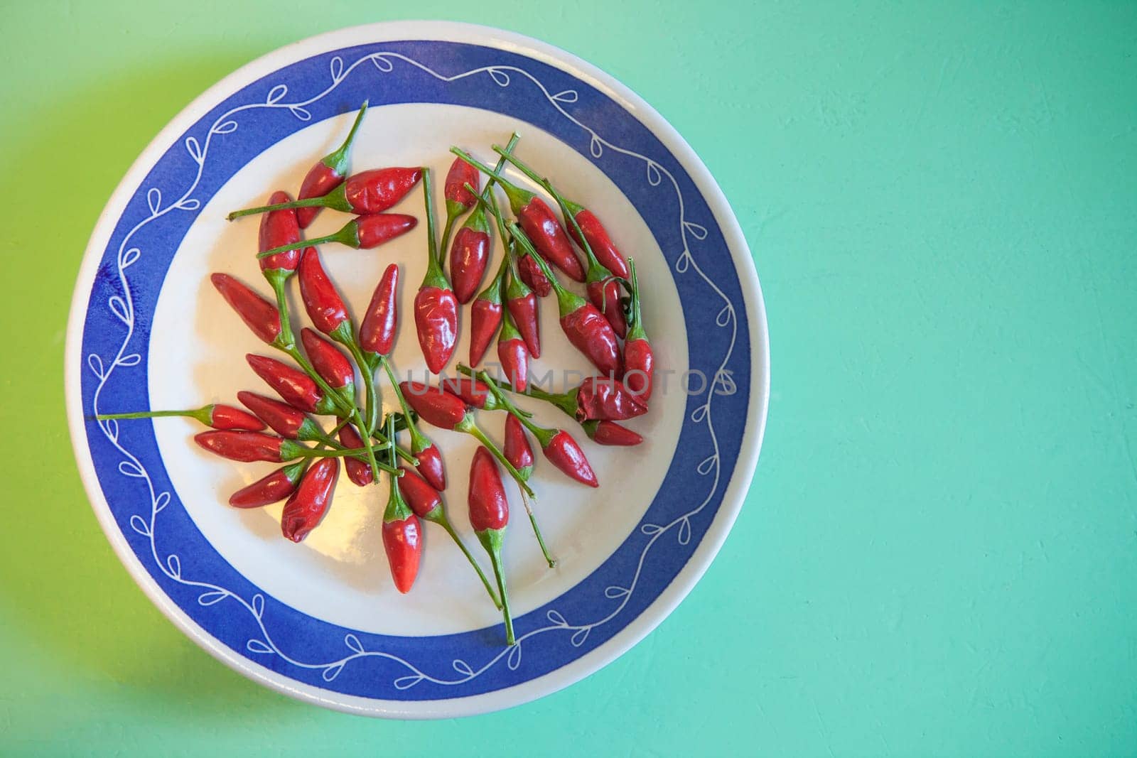 Plate with piri-piri chili pepper. Studio shot with natural light. Turquoise background