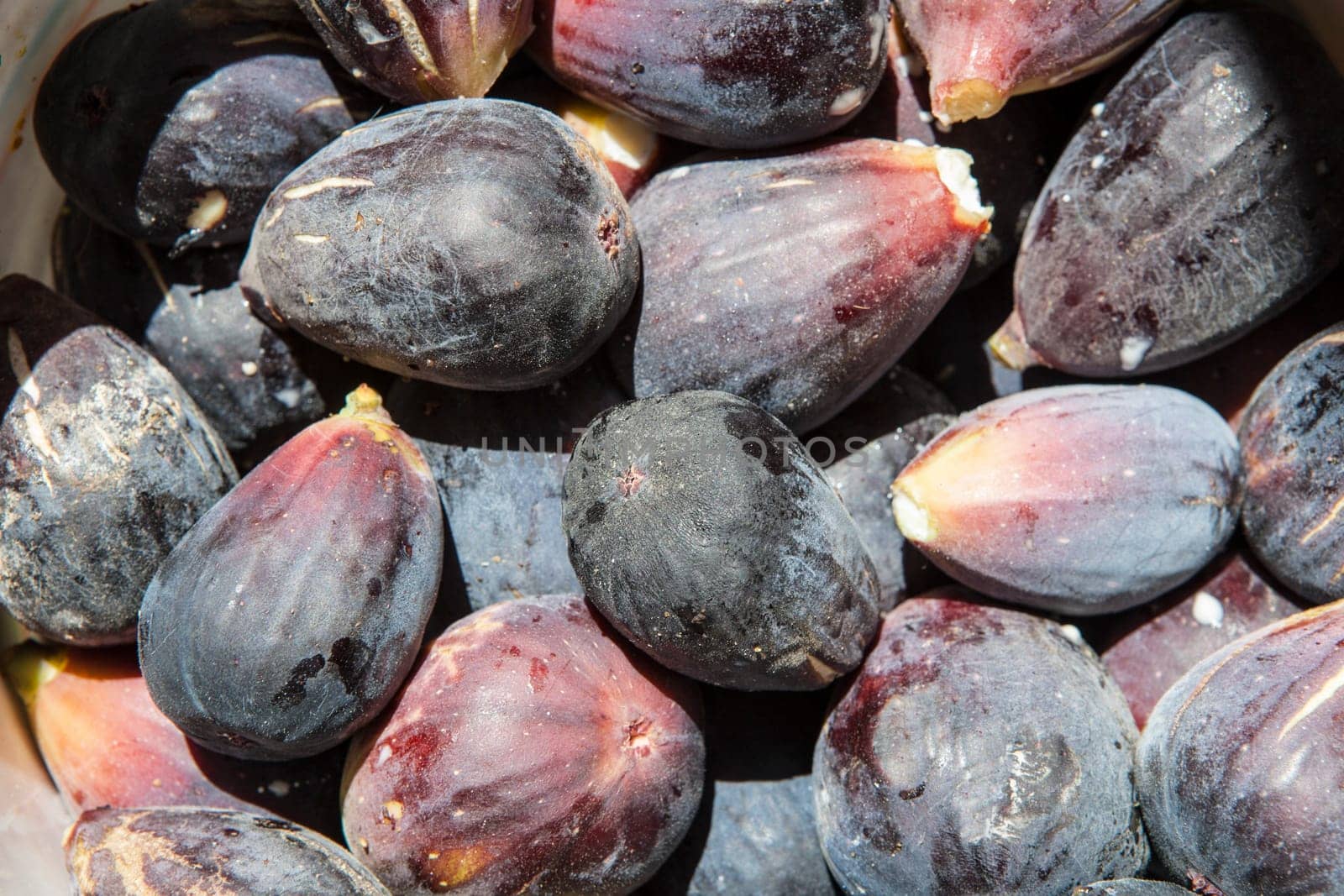 Fresh figs freshly picked from tree. Studio shot with natural light