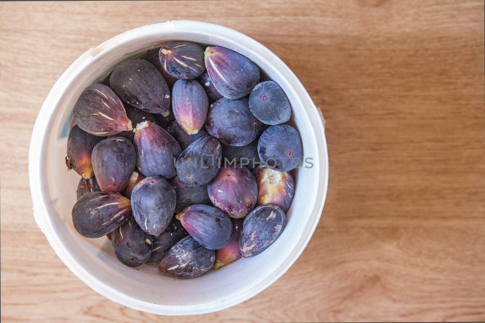 Bucket full of fresh fig just harvested. Studio shot with natural light. Wooden background