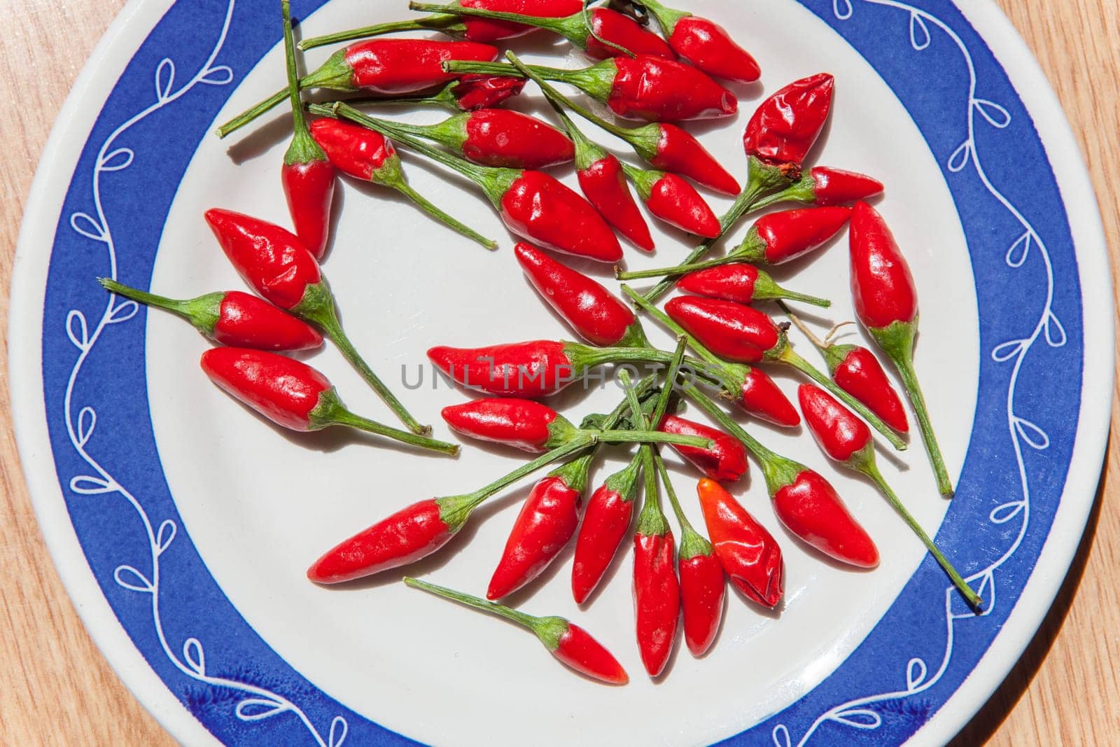 Plate with piri-piri chili pepper. Studio shot with natural light. Wooden background