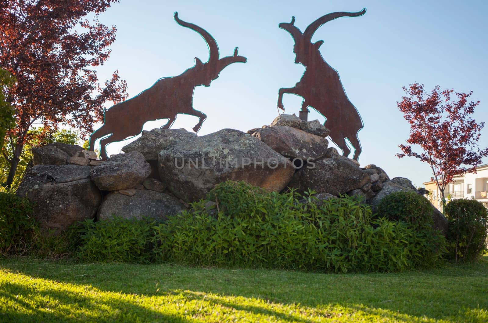 Spanish wild goat roundabout at Losar de la Vera, Caceres, Extremadura, Spain