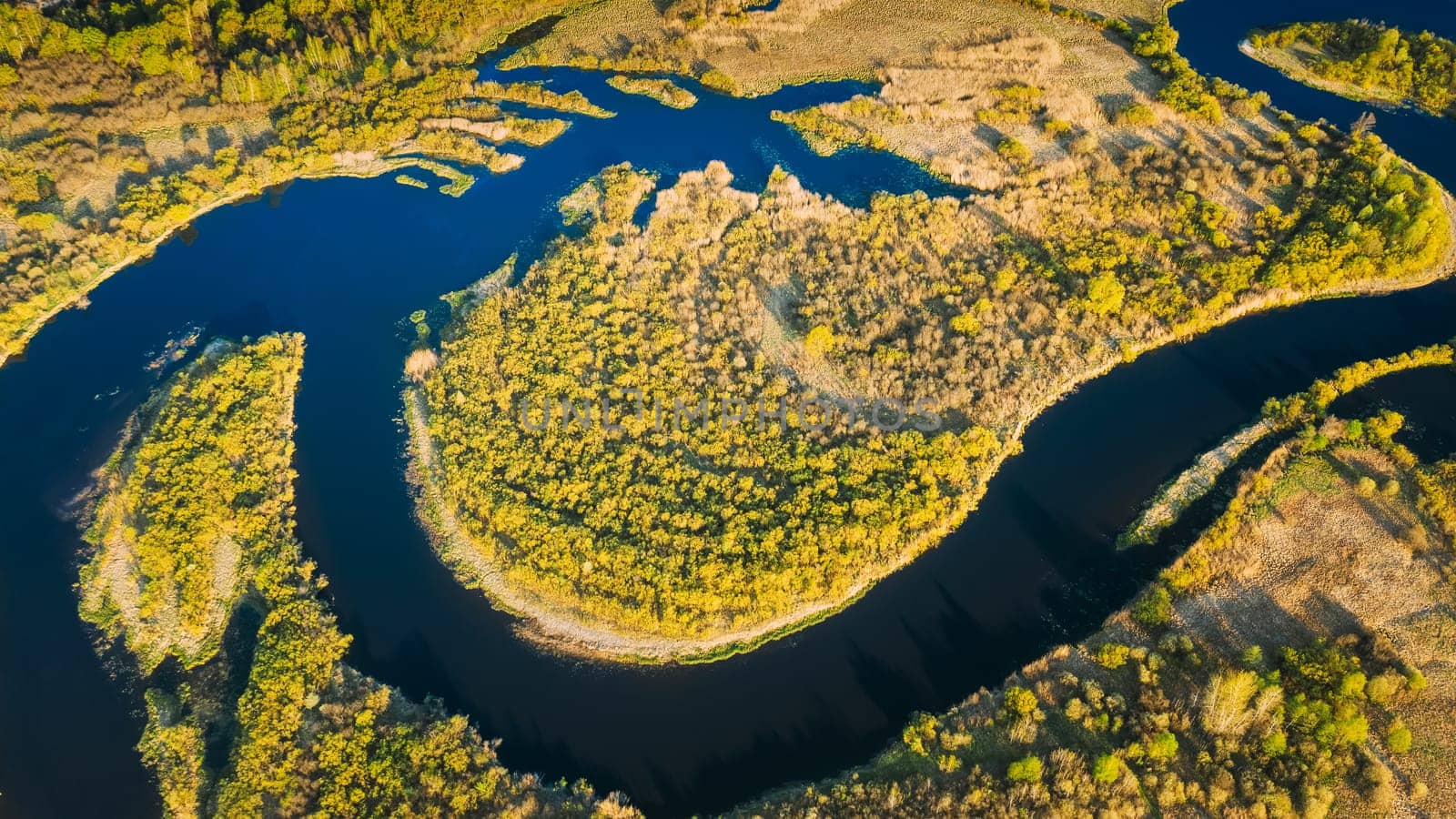 Aerial View Green Forest Woods And River Landscape In Sunny Spring Summer Day. Top View Of Beautiful European Nature From High Attitude In Autumn Season. Drone View. Bird's Eye View.