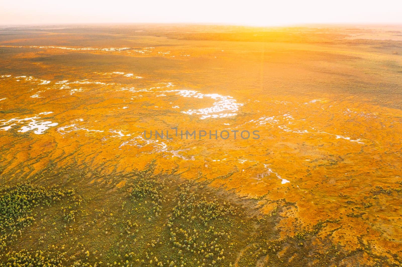 Miory District, Vitebsk Region, Belarus. The Yelnya Swamp. Upland And Transitional Bogs With Numerous Lakes. Elevated Aerial View Of Yelnya Nature Reserve Landscape. Famous Natural Landmark.