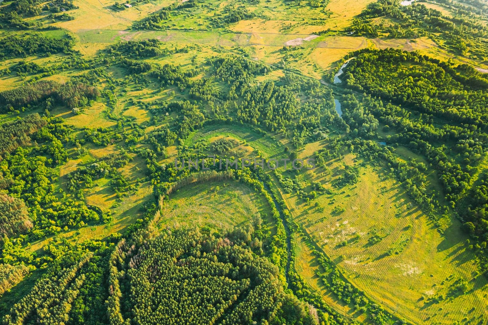 Aerial View Green Forest Deforestation Area Landscape. Top View Of New Growing Forest. European Nature From High Attitude In Summer Season. Drone View. Bird's Eye View.