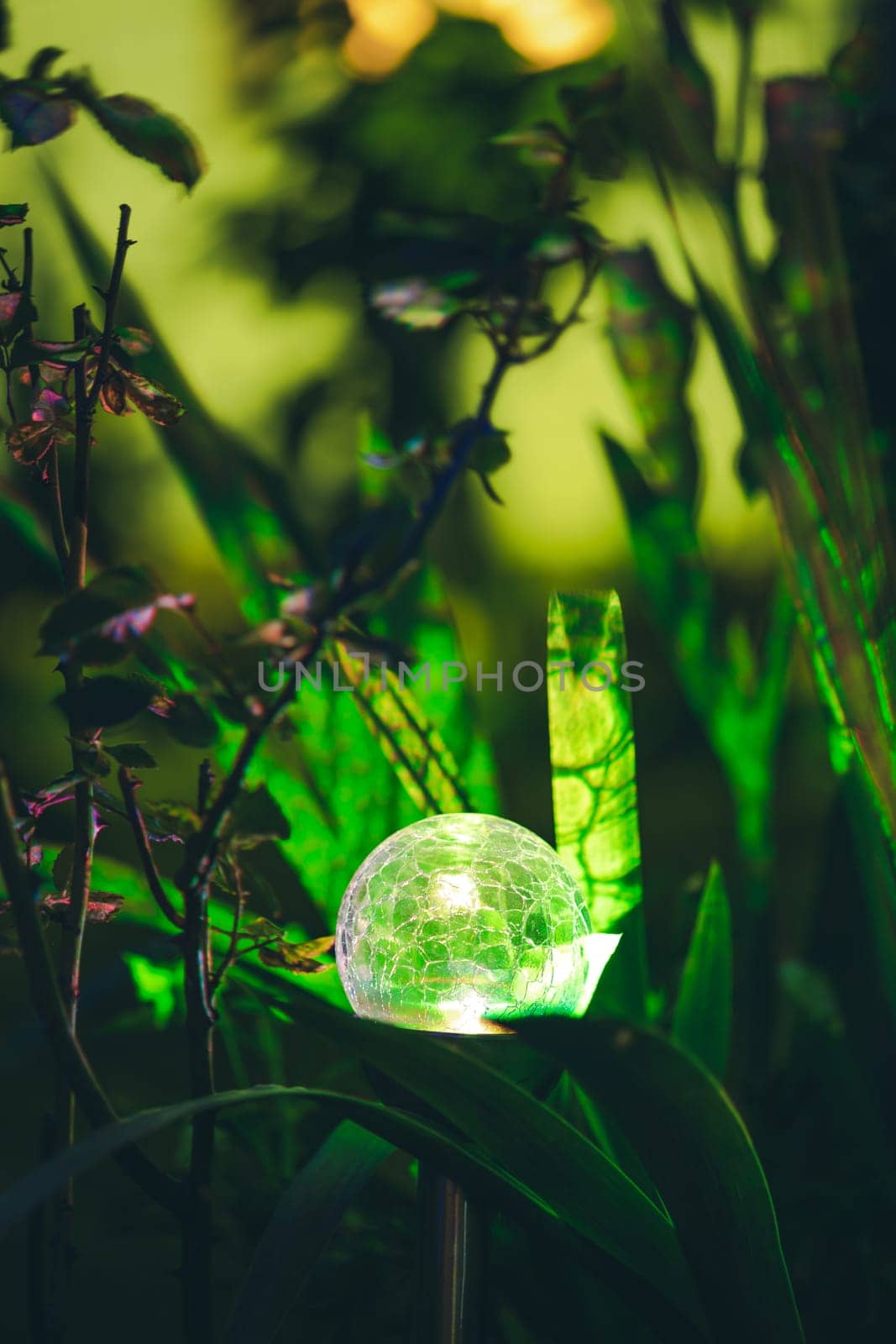 Night View Of Flowerbed Illuminated By Energy-Saving Solar Powered Colorful Multi-colored Lantern On Yard. Beautiful Small Garden With Green Light, Lamp In Flower Bed. Garden Design.