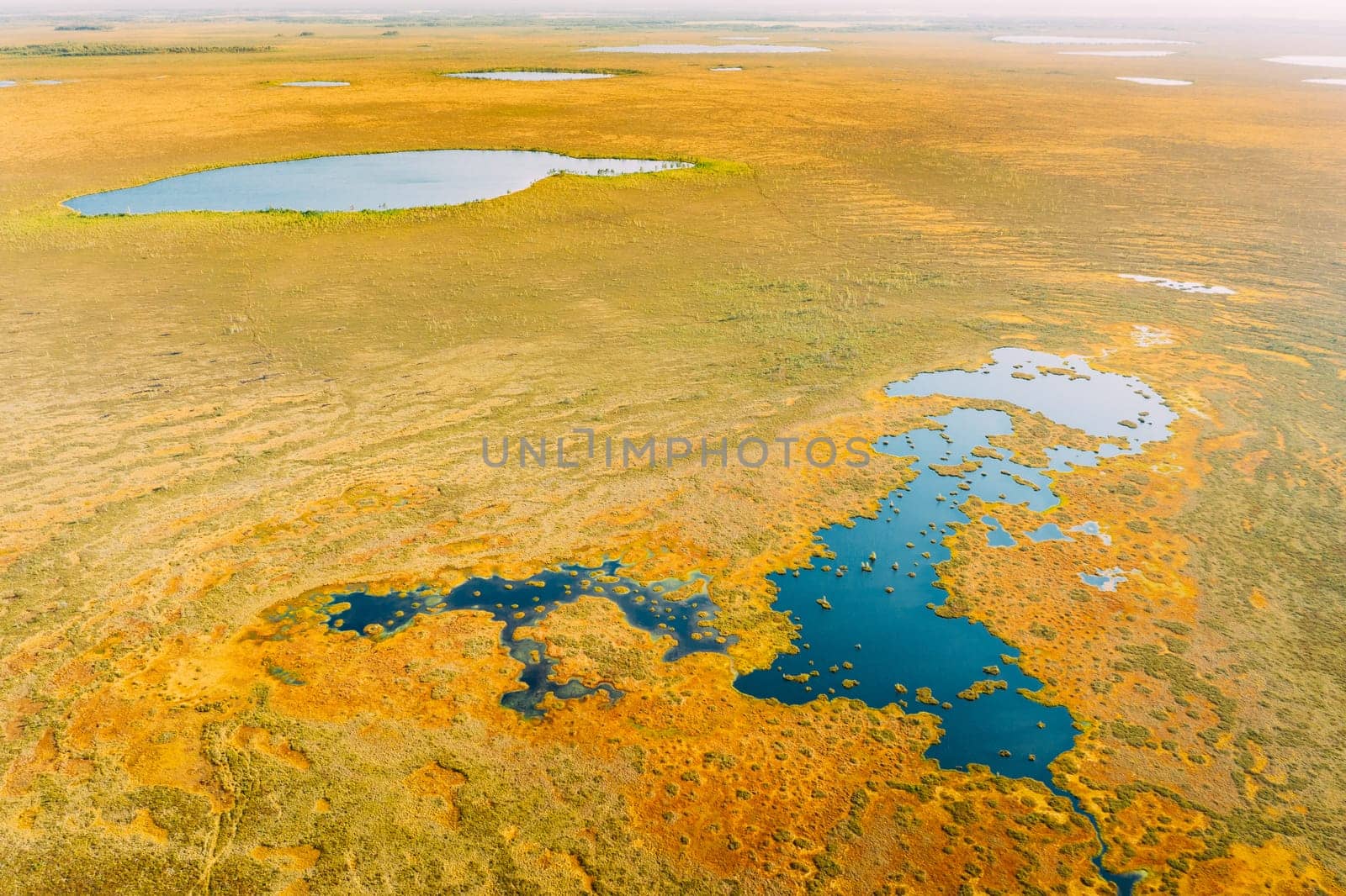 Miory District, Vitebsk Region, Belarus. The Yelnya Swamp. Upland And Transitional Bogs With Numerous Lakes. Elevated Aerial View Of Yelnya Nature Reserve Landscape. Famous Natural Landmark.