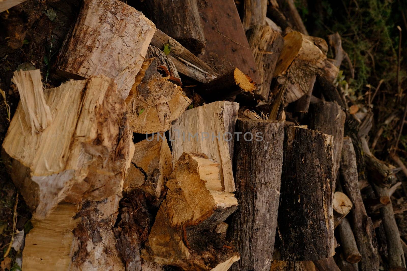 Stacked chopped wood for the winter with sun shine