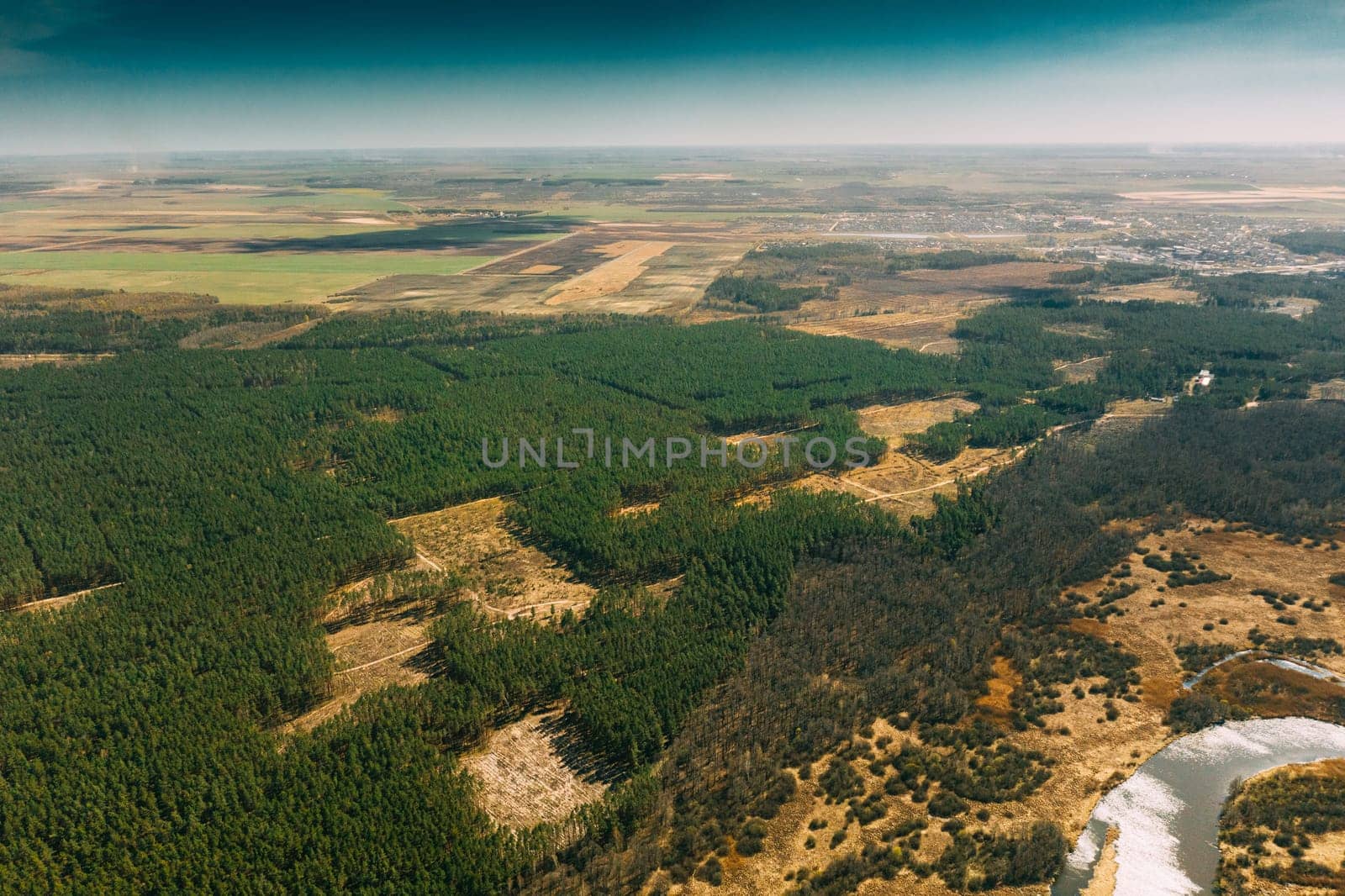 Aerial View Of Deforestation Area Landscape. Green Pine Forest In Deforestation Zone. Top View Of Forest Landscape. Drone View. Bird's Eye View.