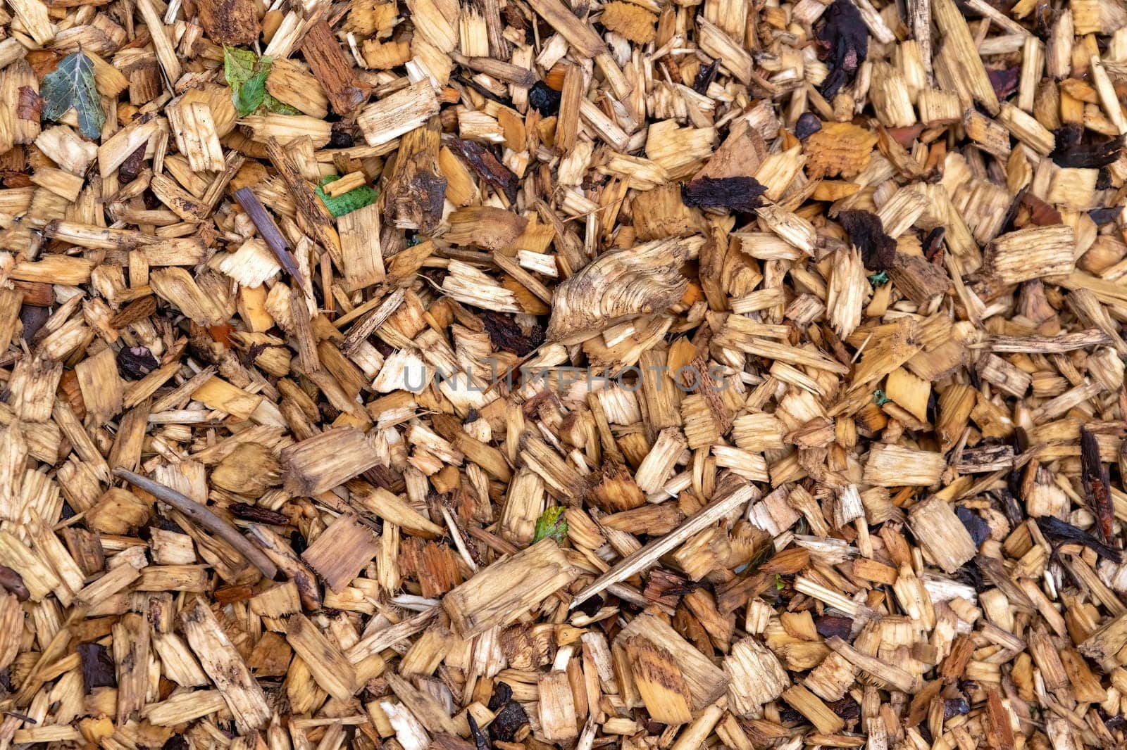 Wet dark softwood chips with foliage evenly spread as a background