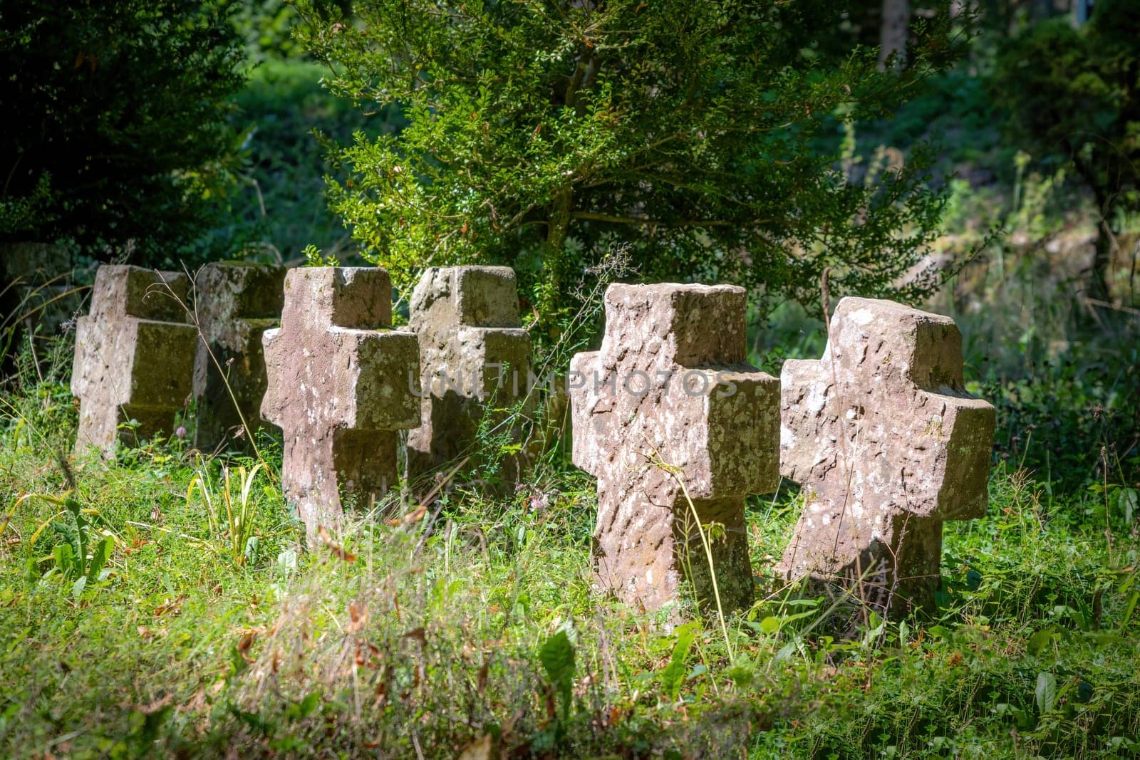 Very old tombstones made of red sandstone overgrown with grass and weeds stand in a row